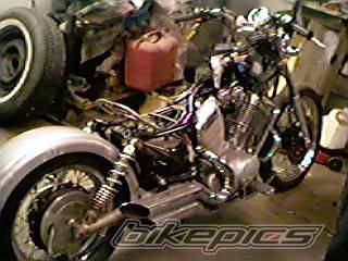 Photo 255469