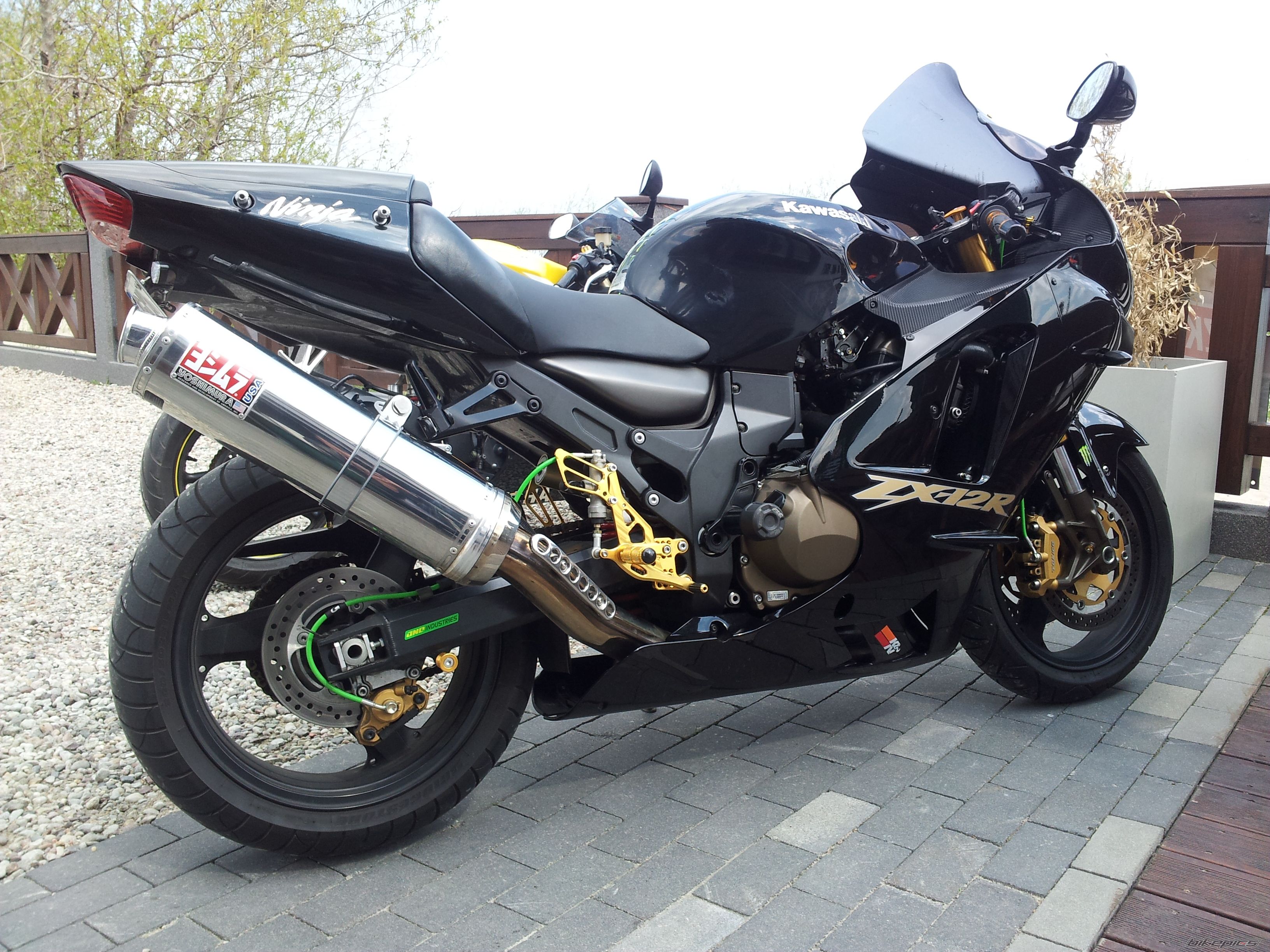 Photo 2554691