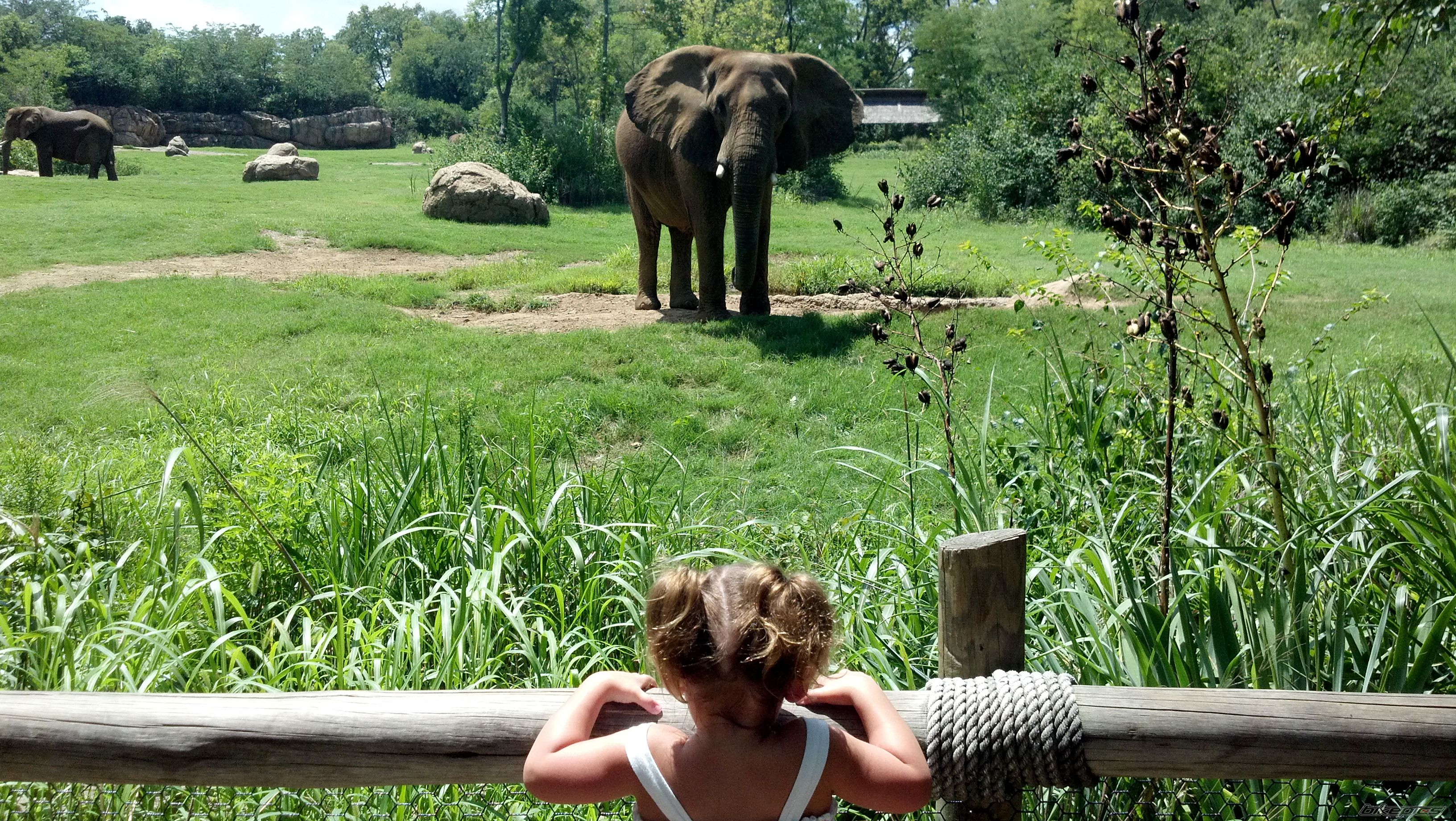 Photo 2554752