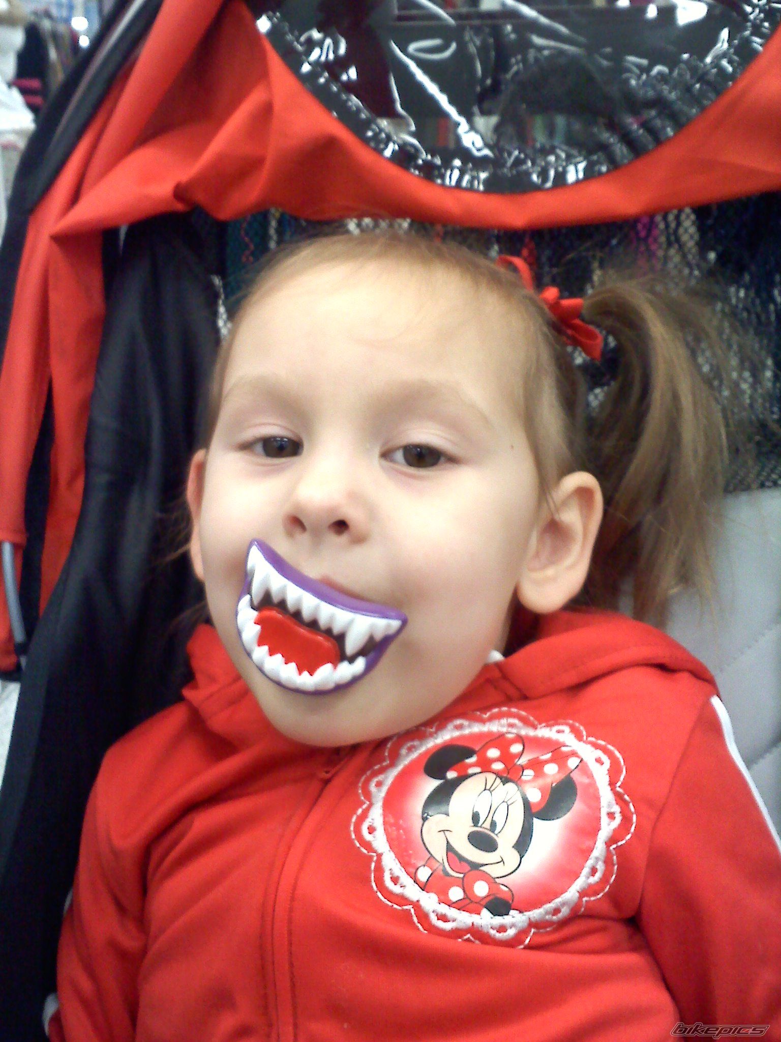 Photo 2554771