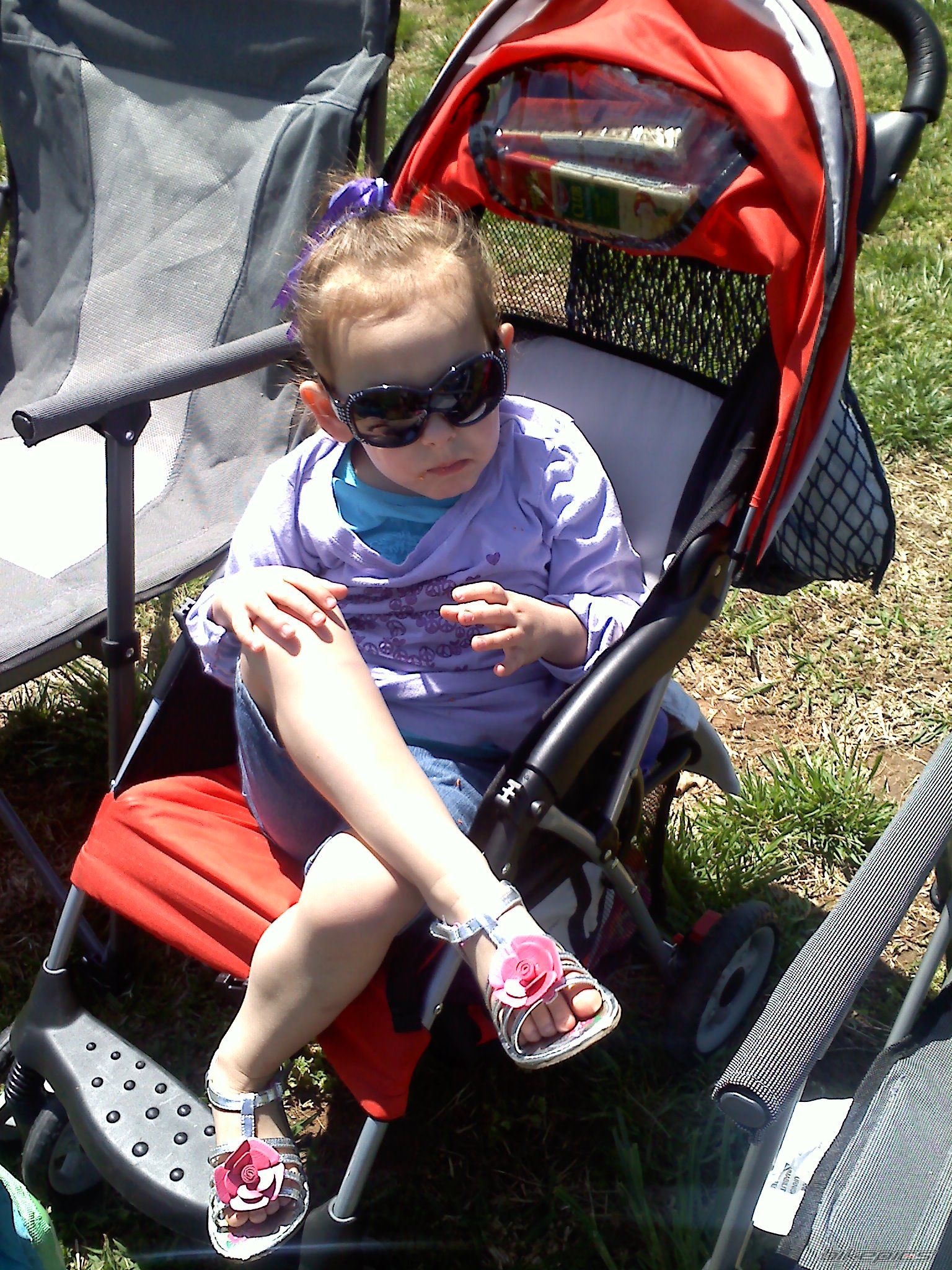 Photo 2554773