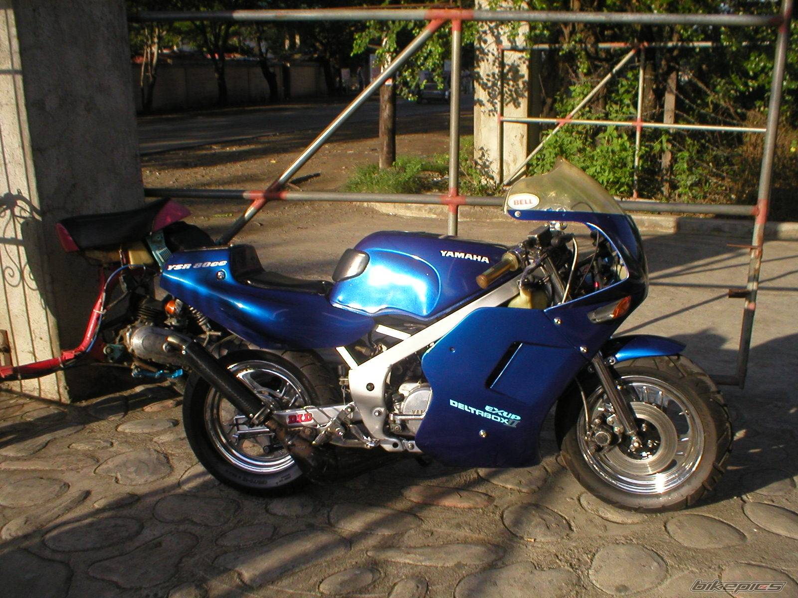 Photo 255479