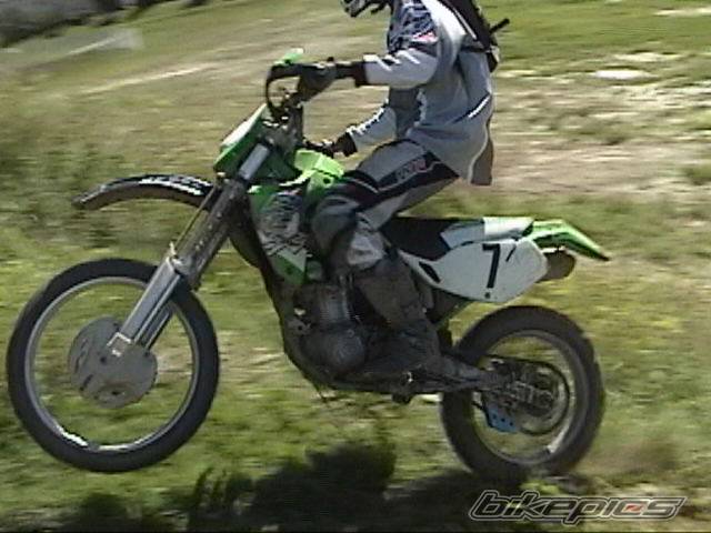 Photo 255484