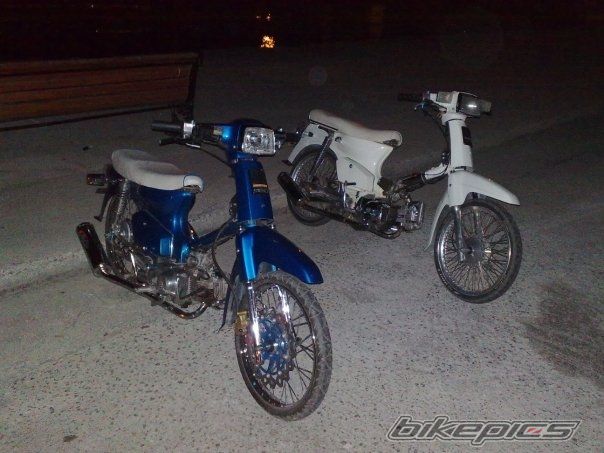 Photo 2554853