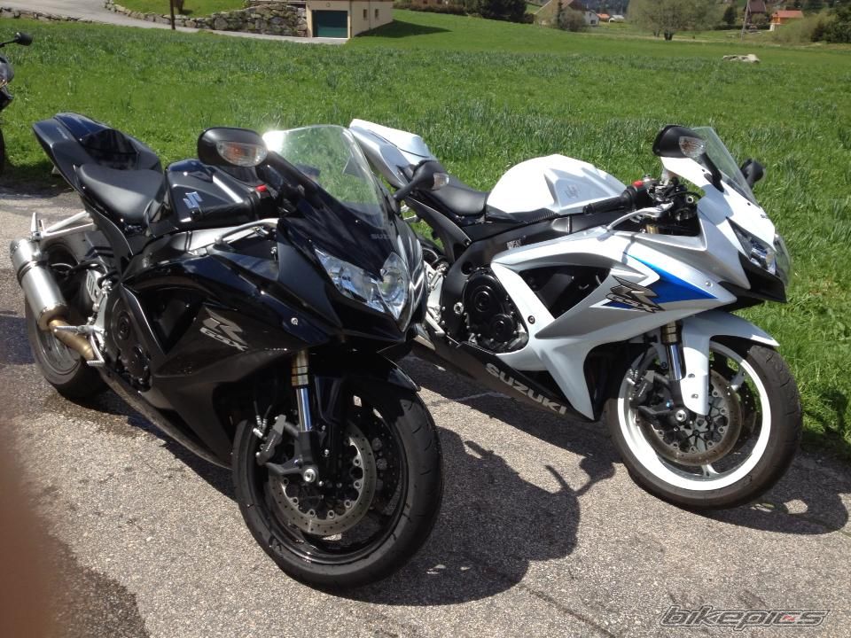 Photo 2554989