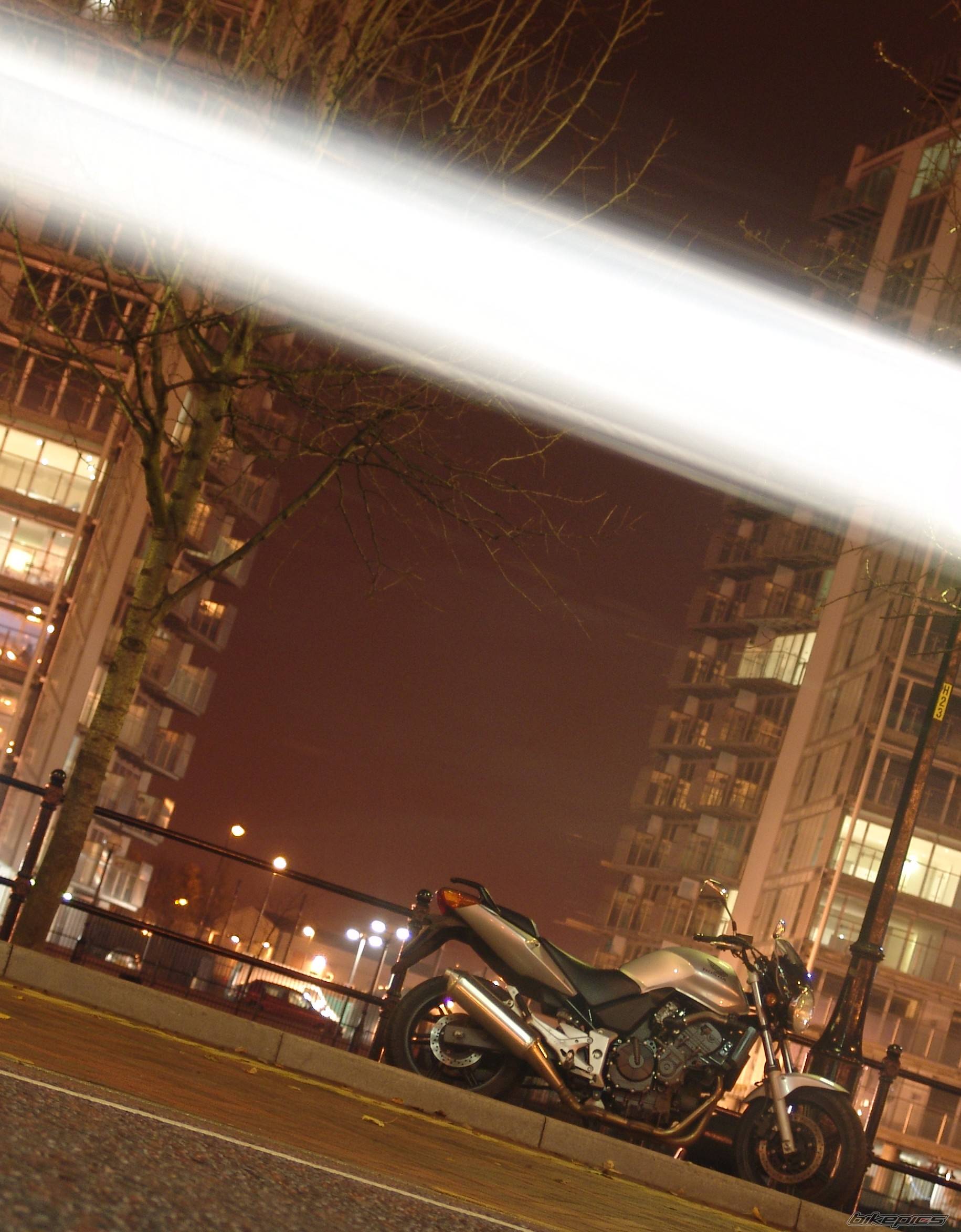 Photo 255502