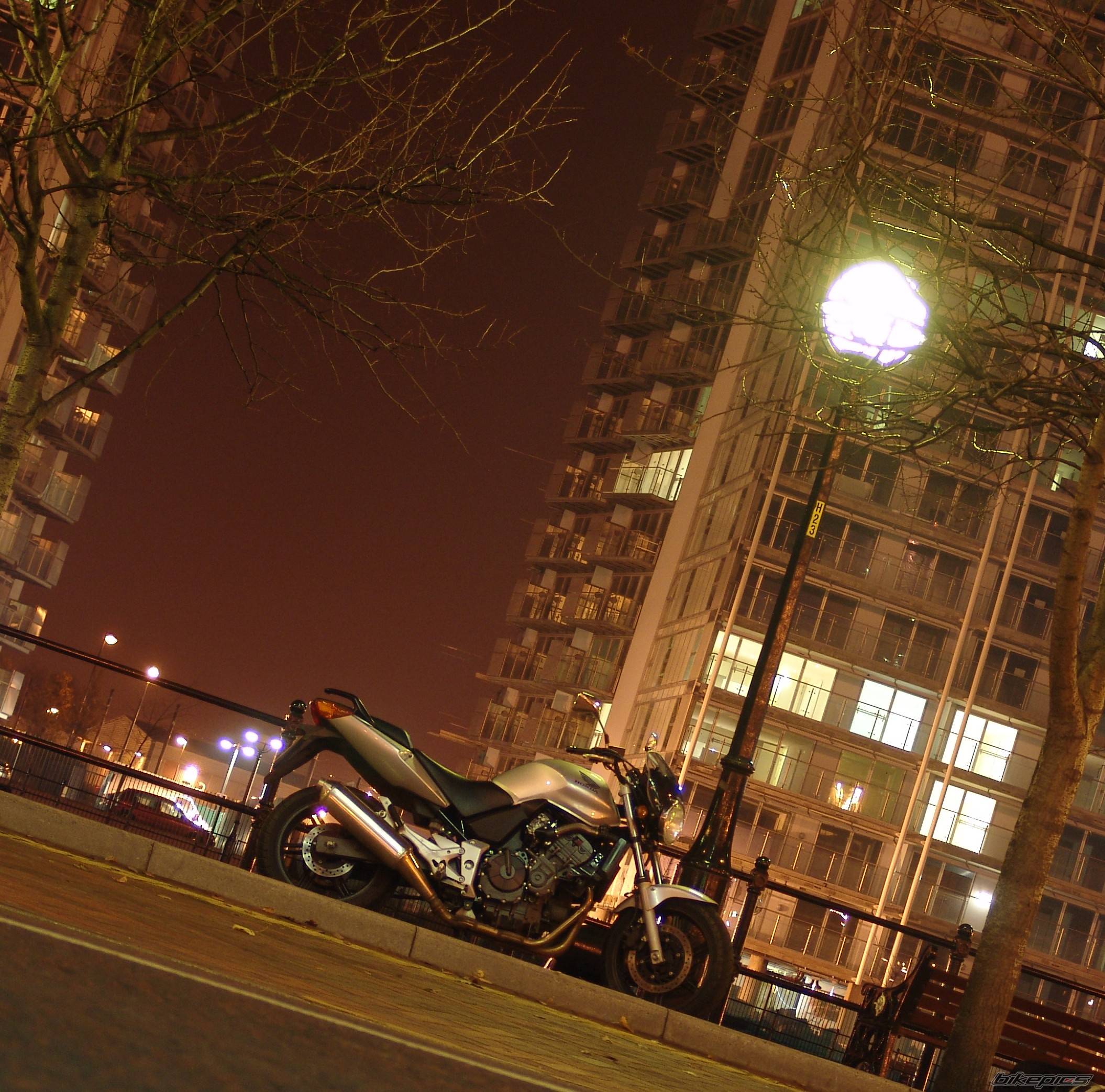 Photo 255503