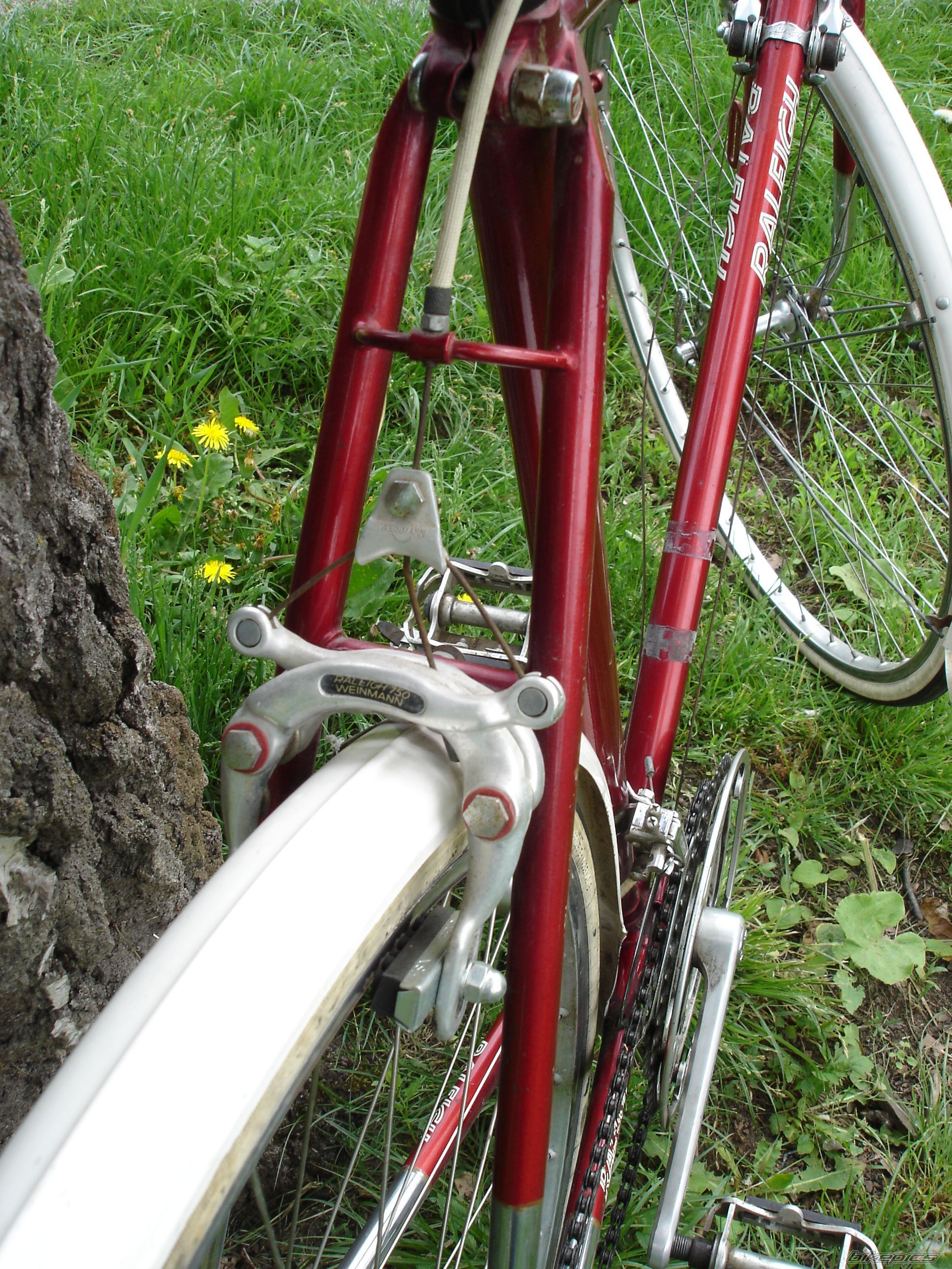 Photo 2555153
