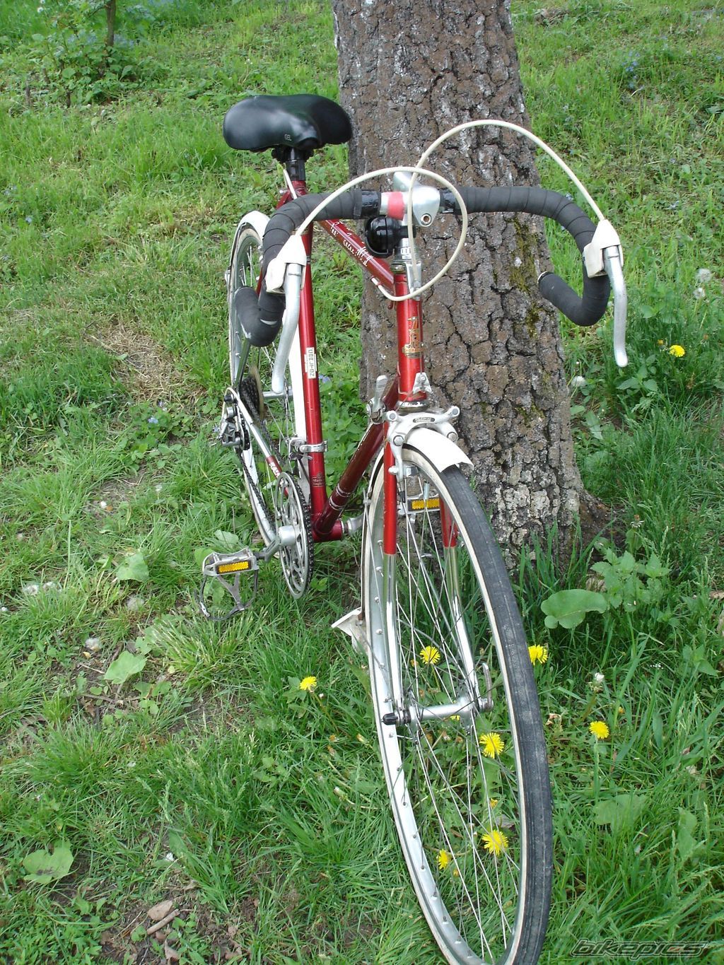 Photo 2555157