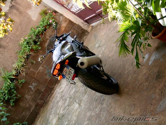 Photo 255521
