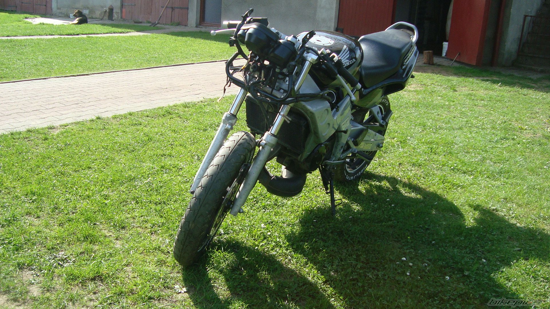 Photo 2555232