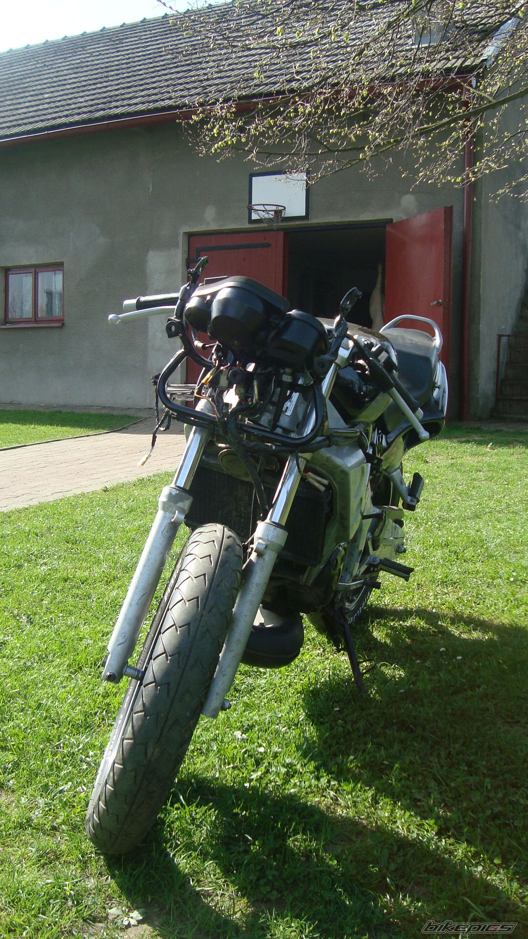Photo 2555234