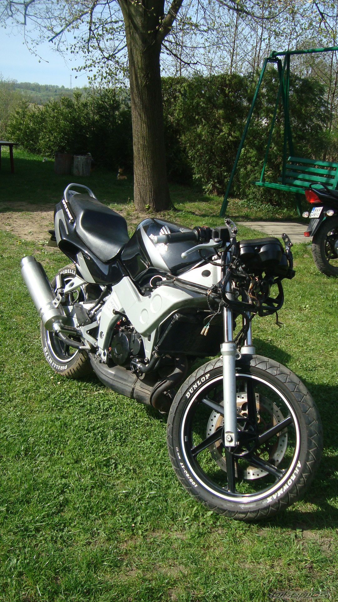 Photo 2555235