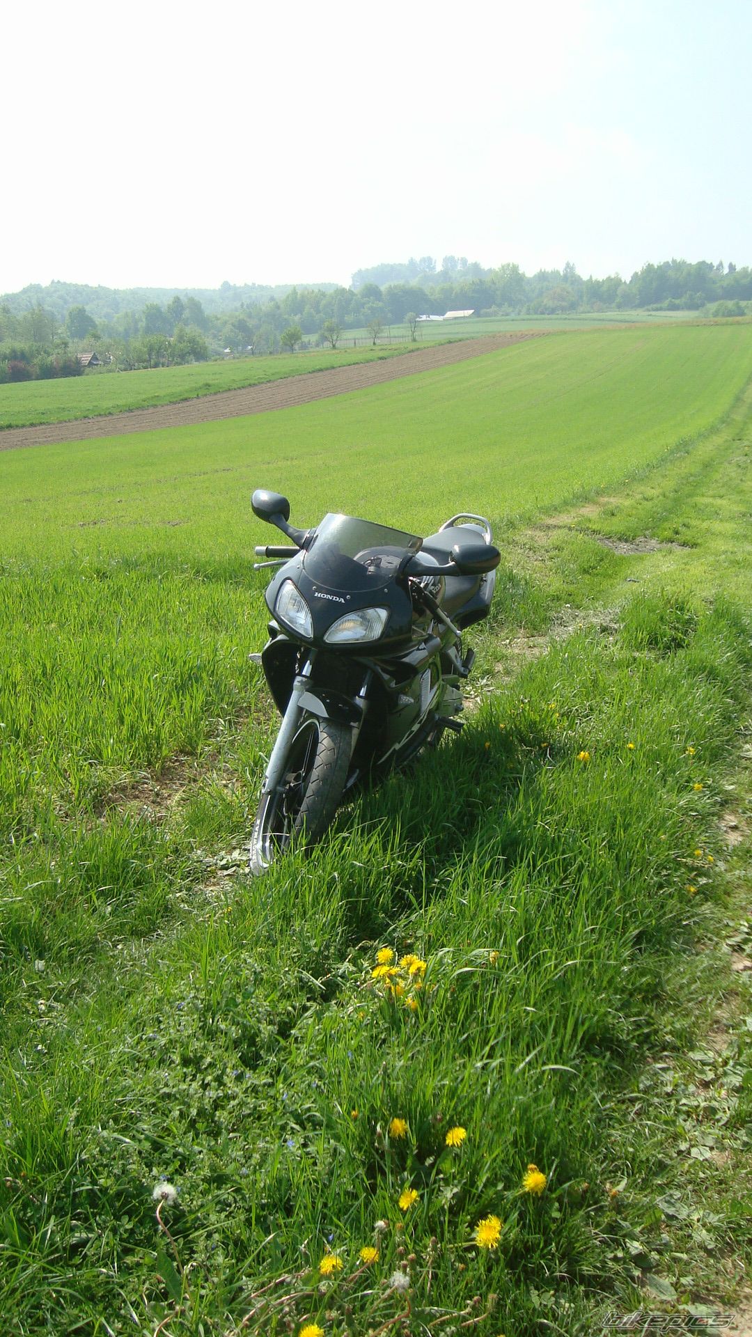 Bike Photo 2555268
