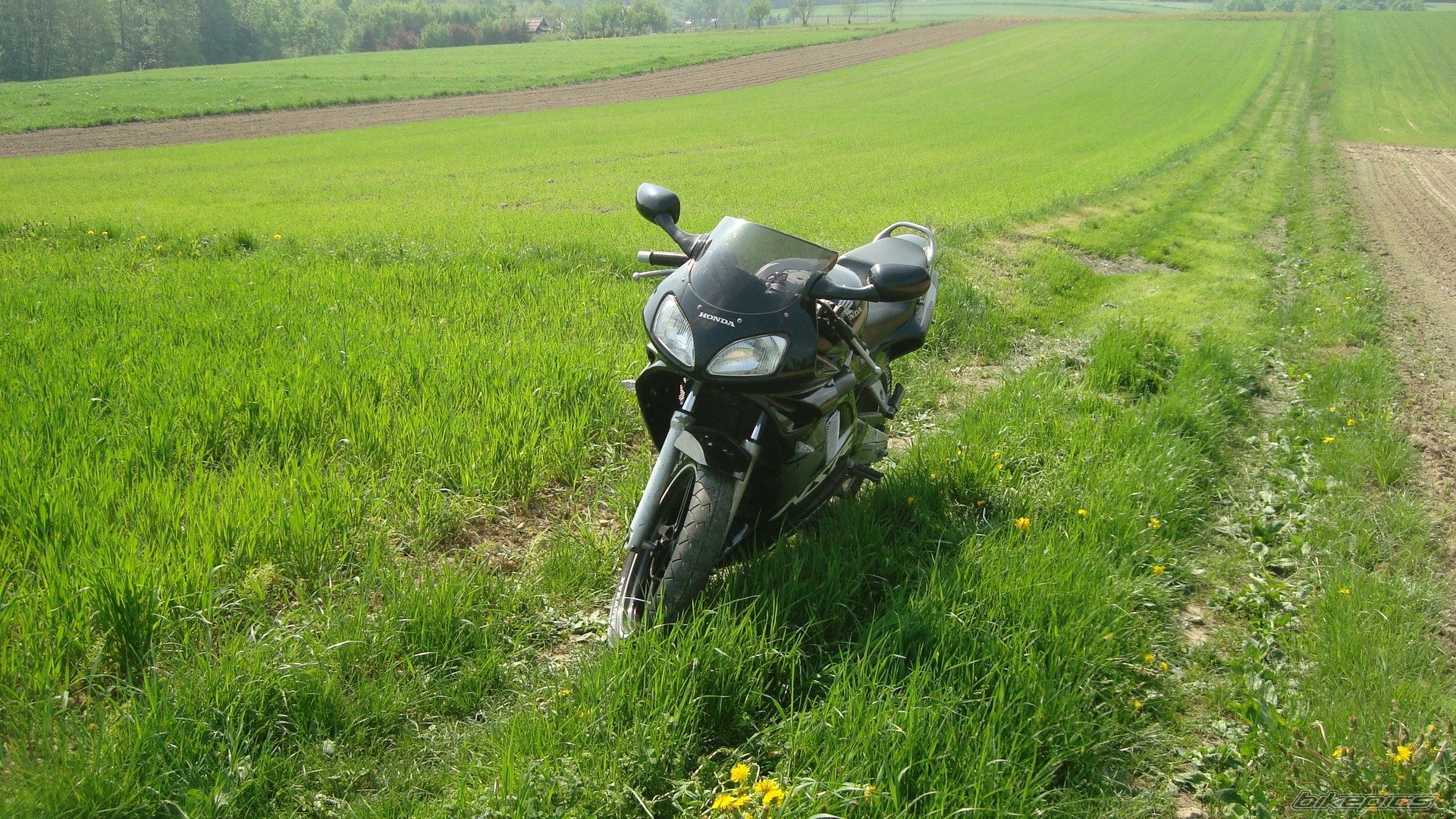 Bike Photo 2555272