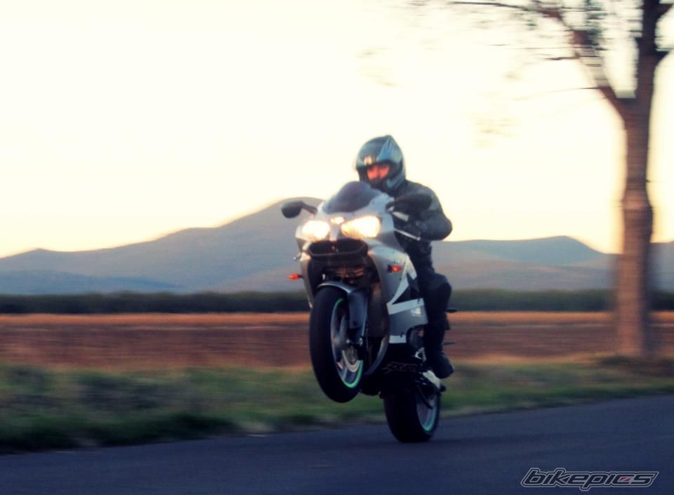 Photo 2555420