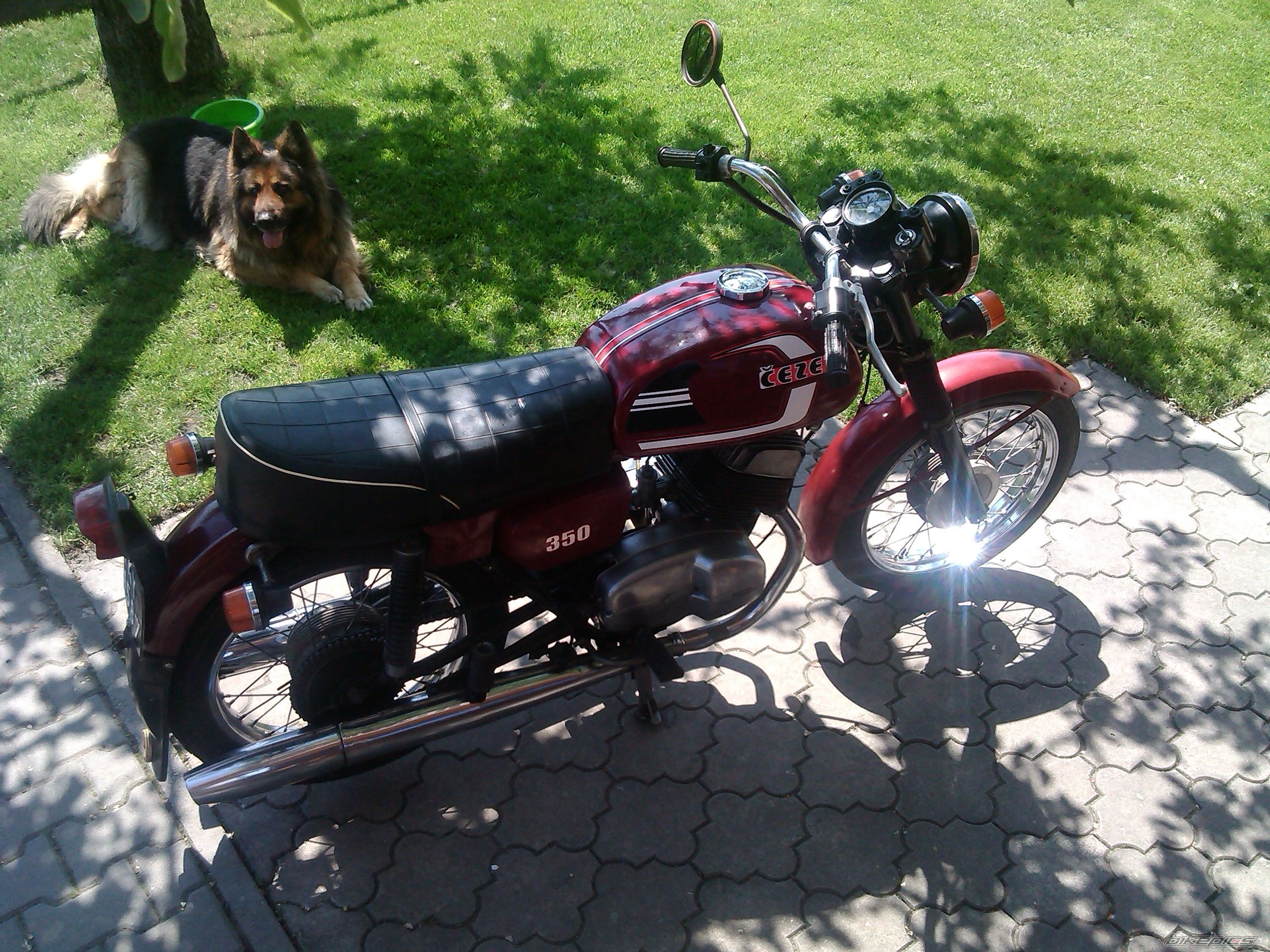 Photo 2555599