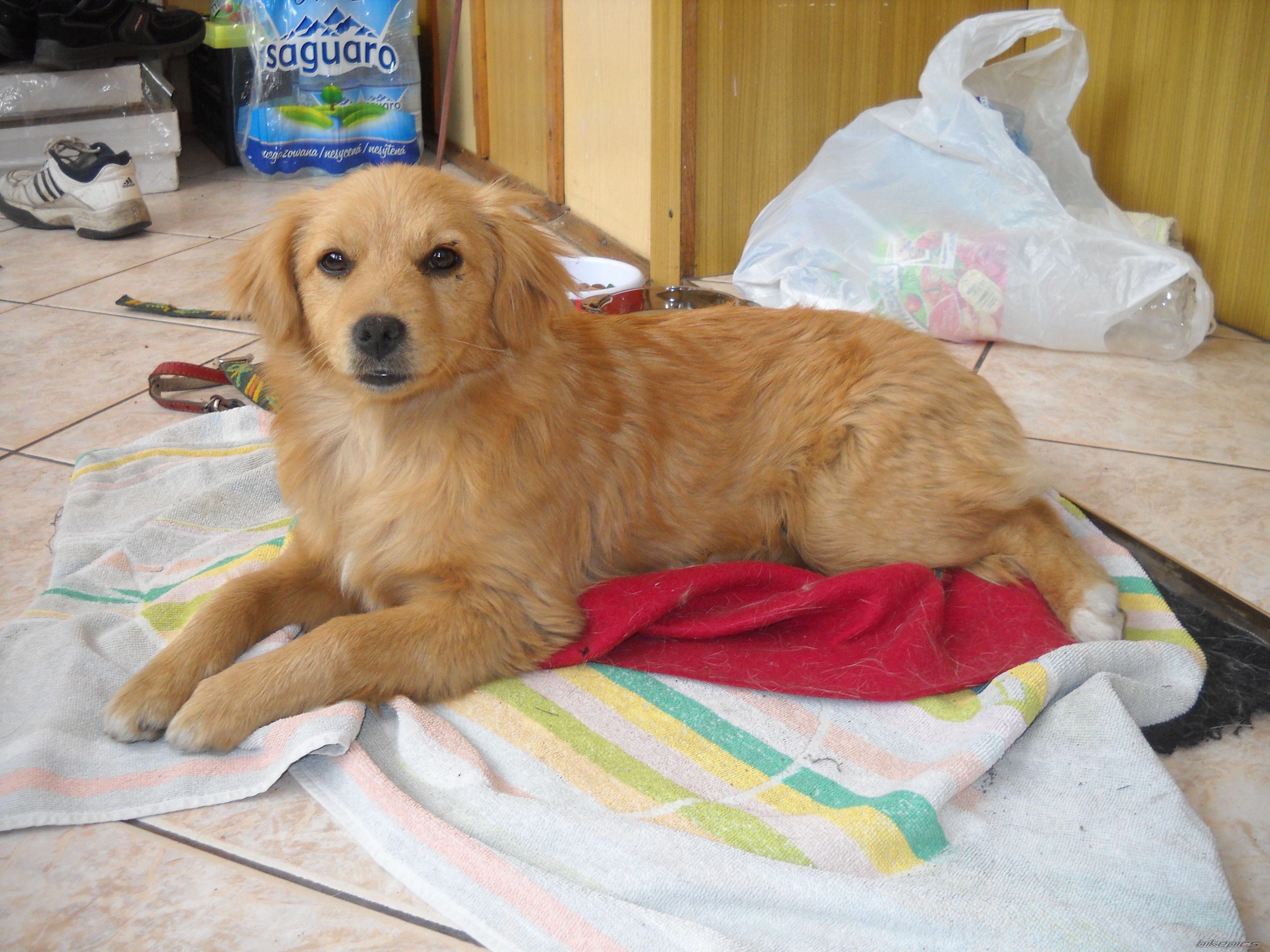 Photo 2555610