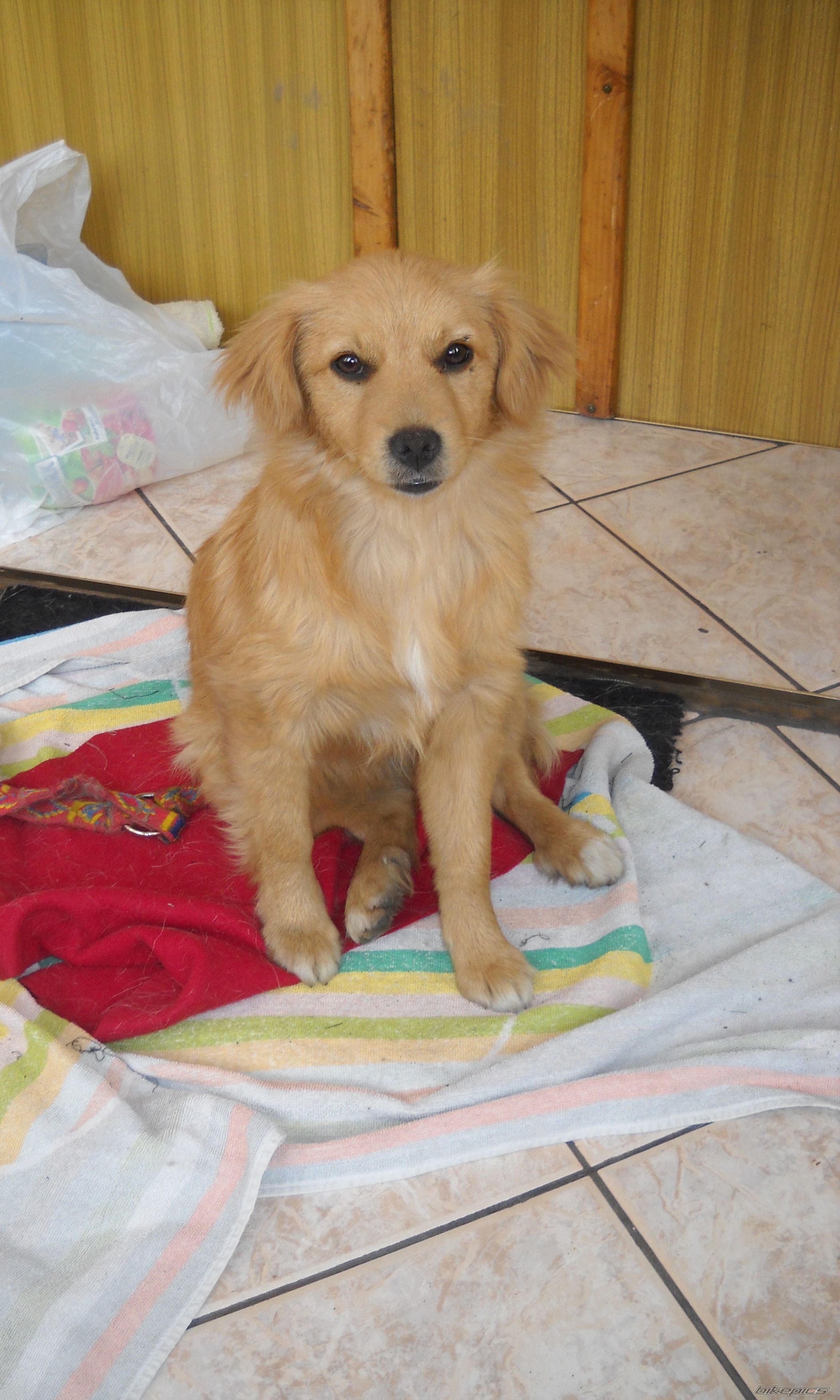 Photo 2555611