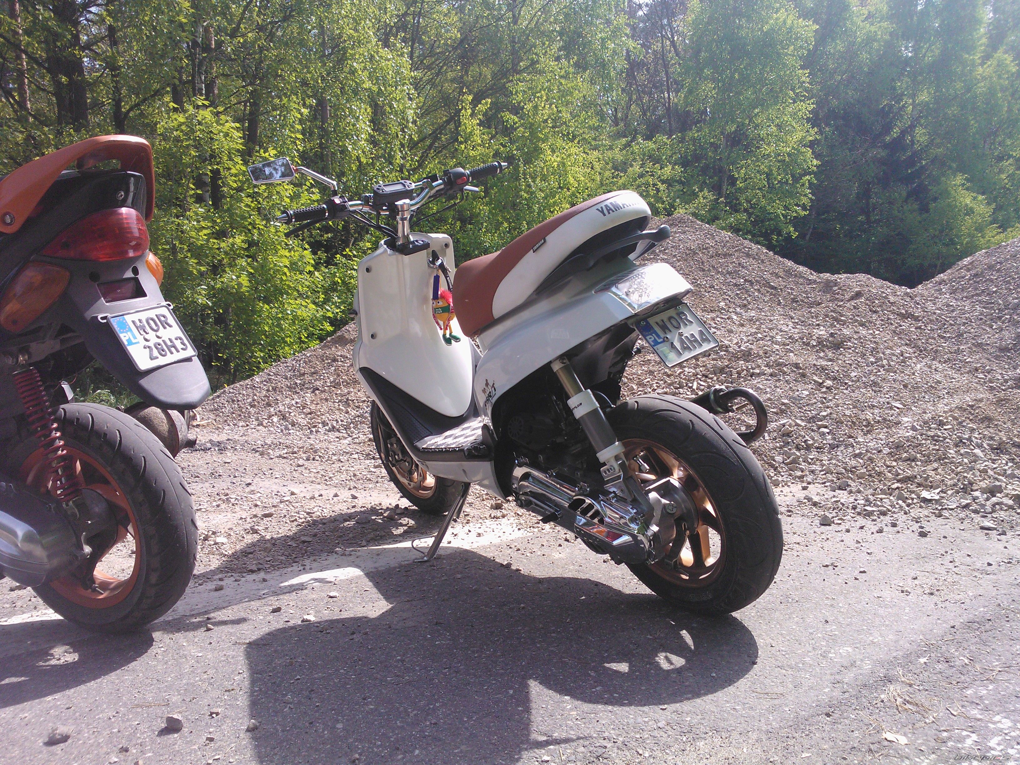 Photo 2555628