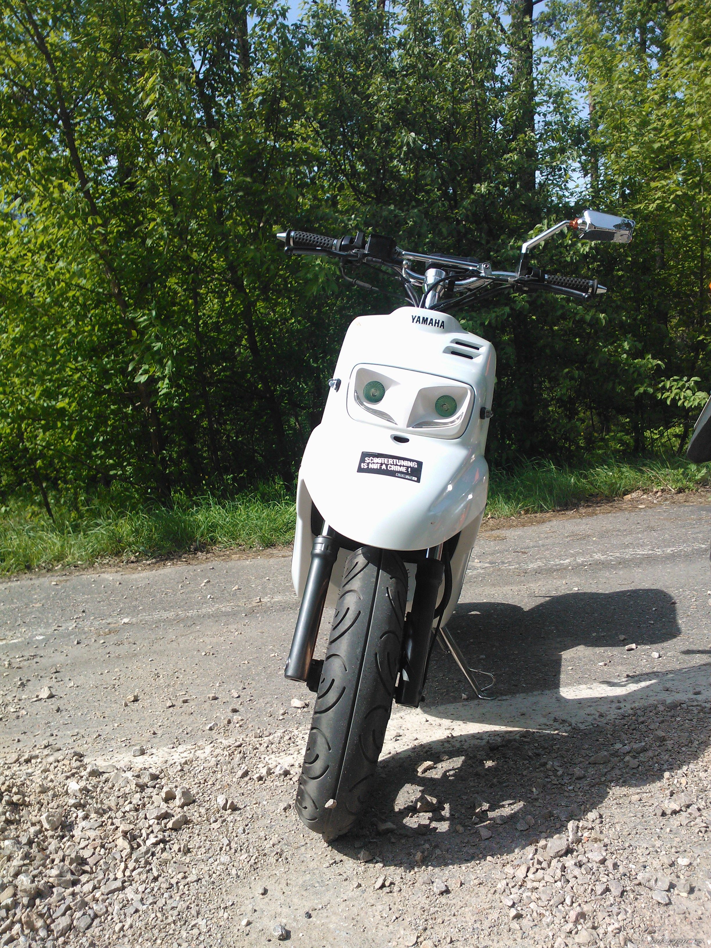 Photo 2555629