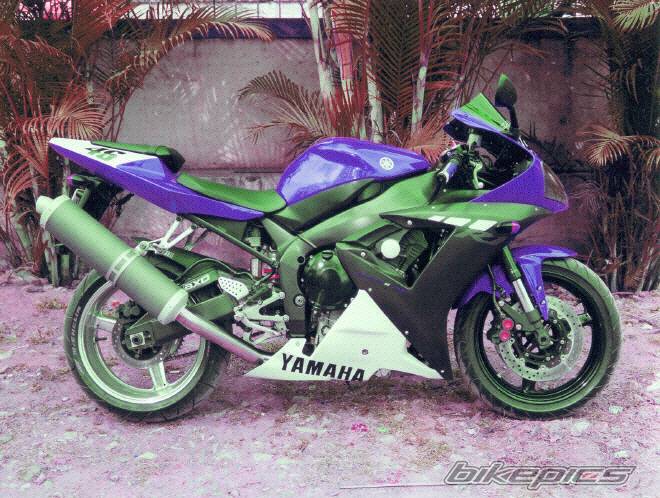 Photo 255572