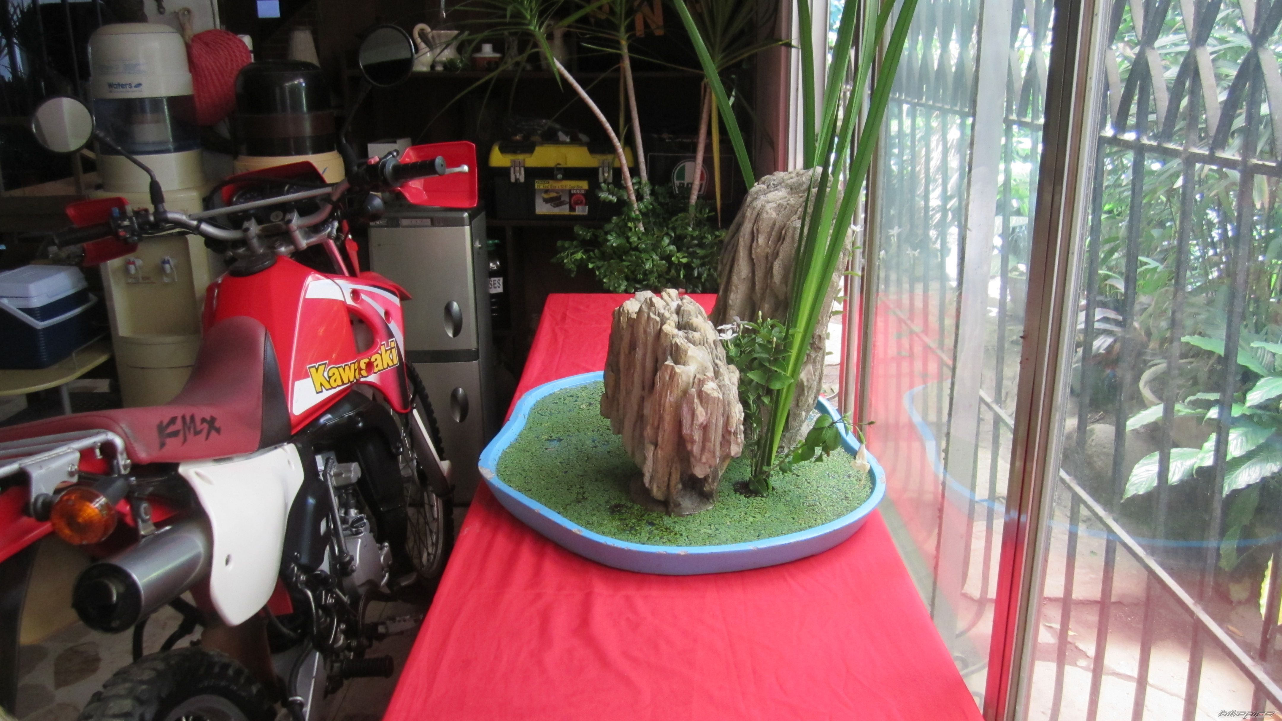 Photo 2555730
