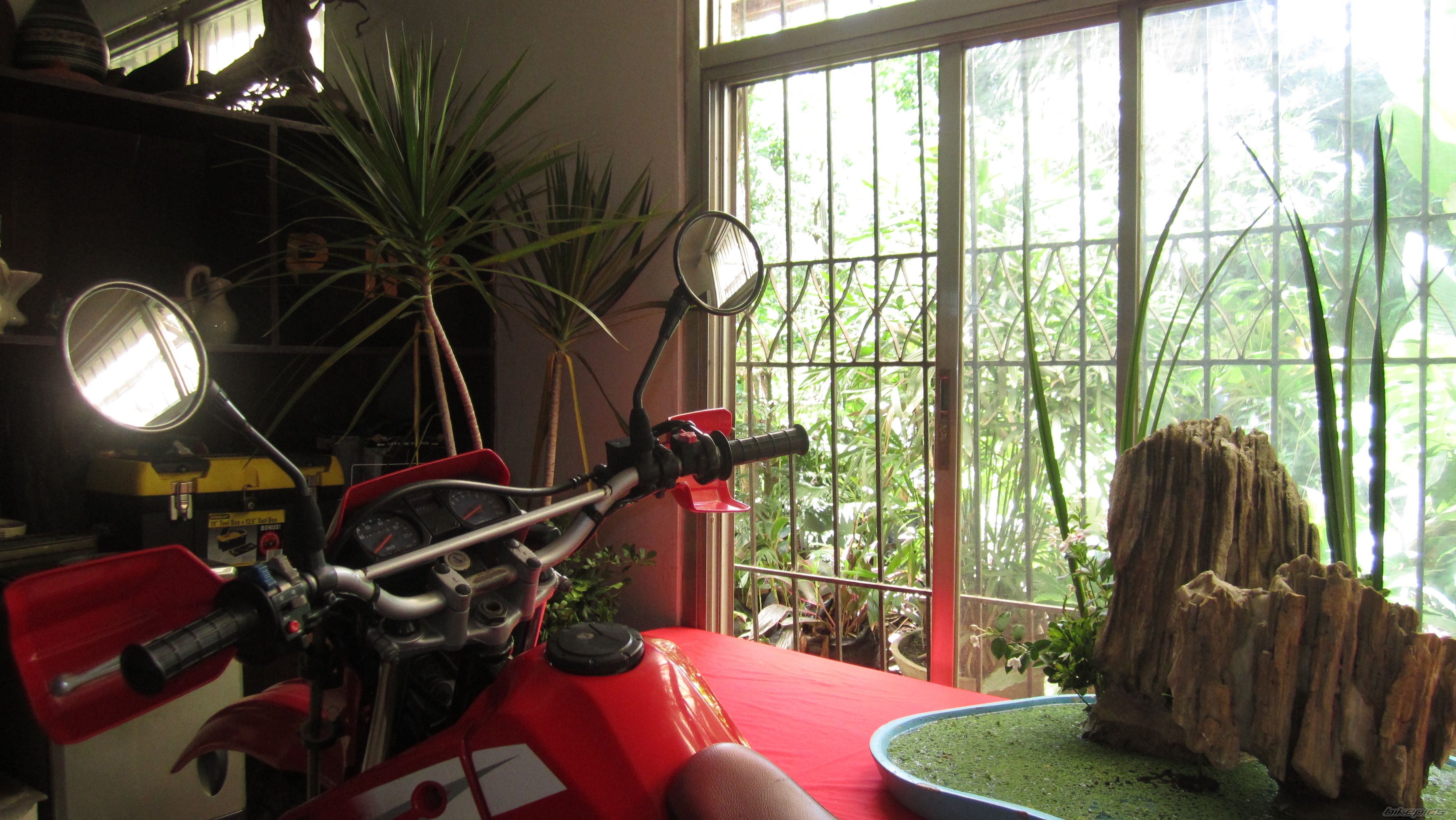 Photo 2555732