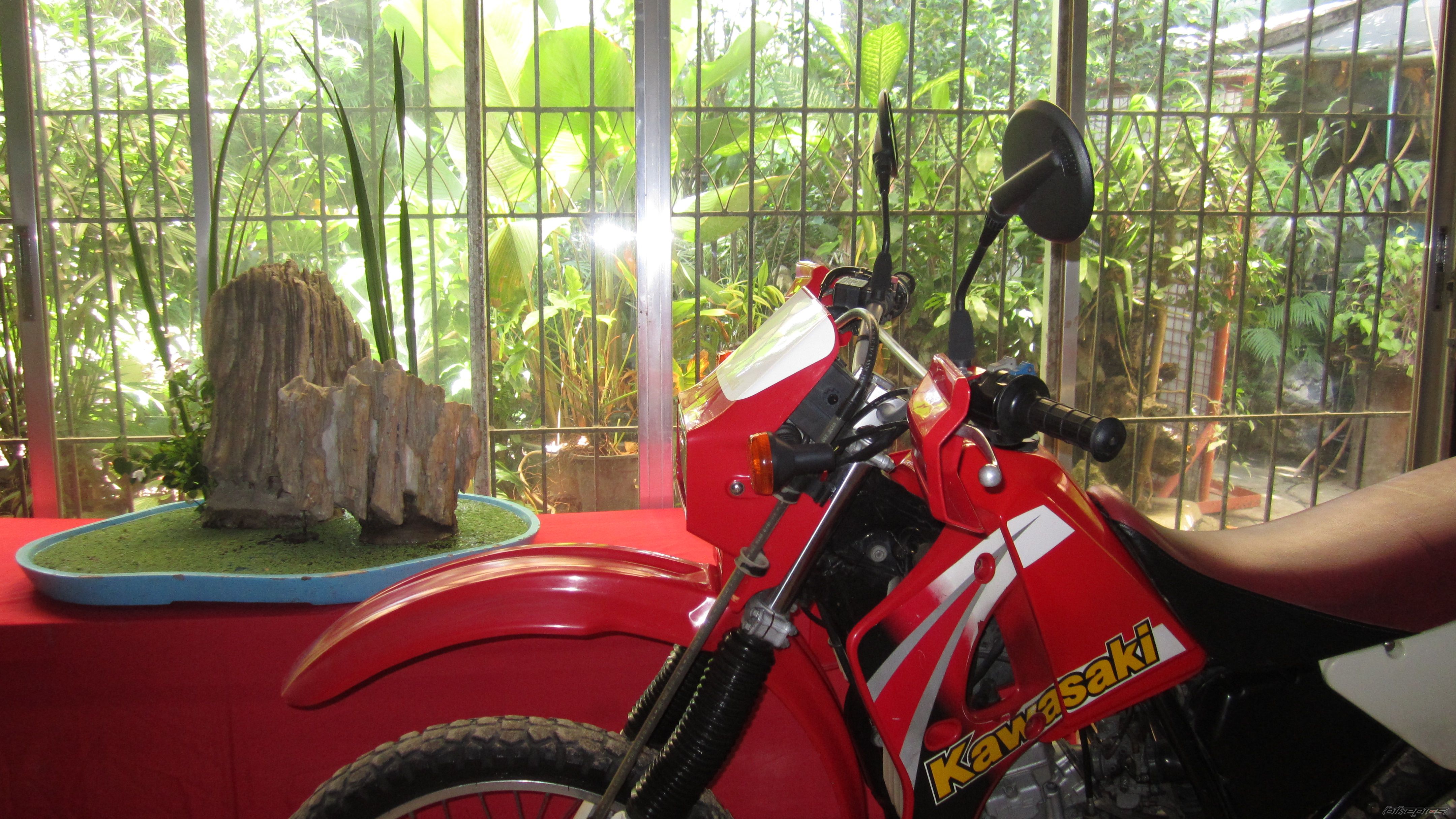 Photo 2555733