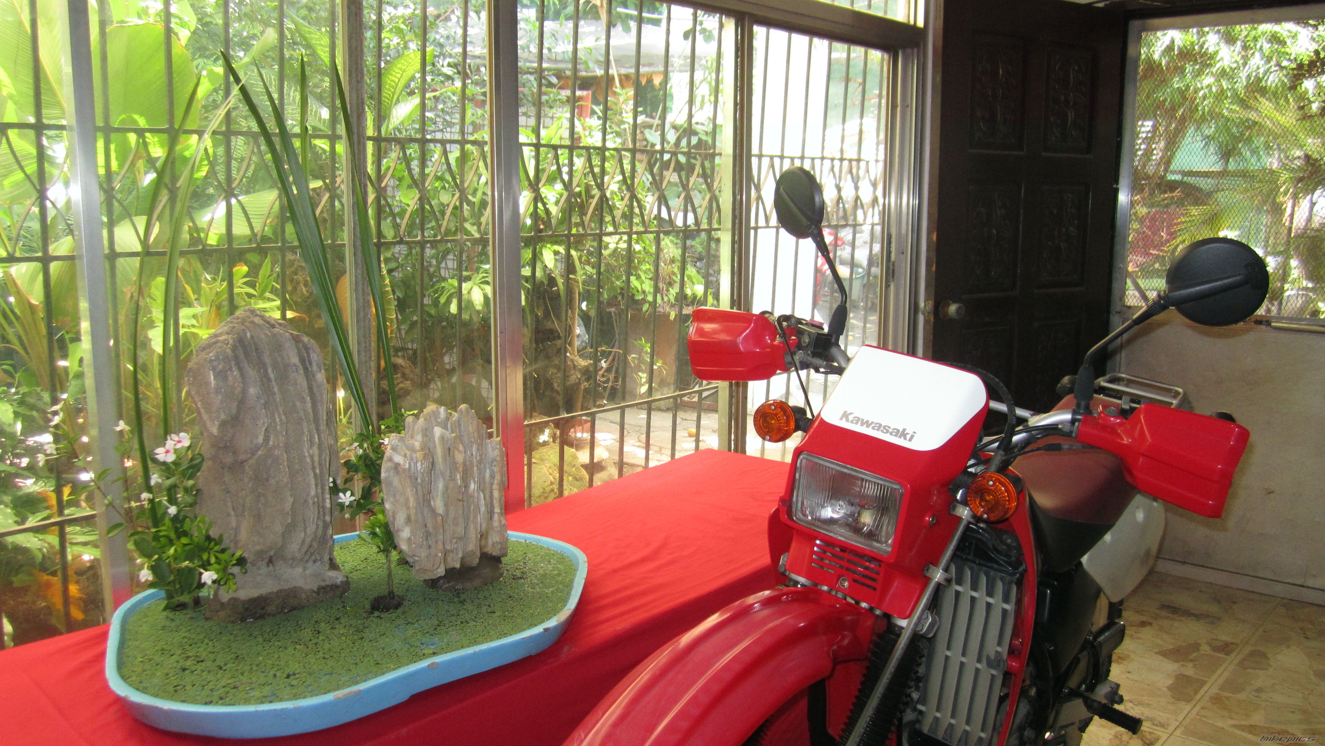 Photo 2555737