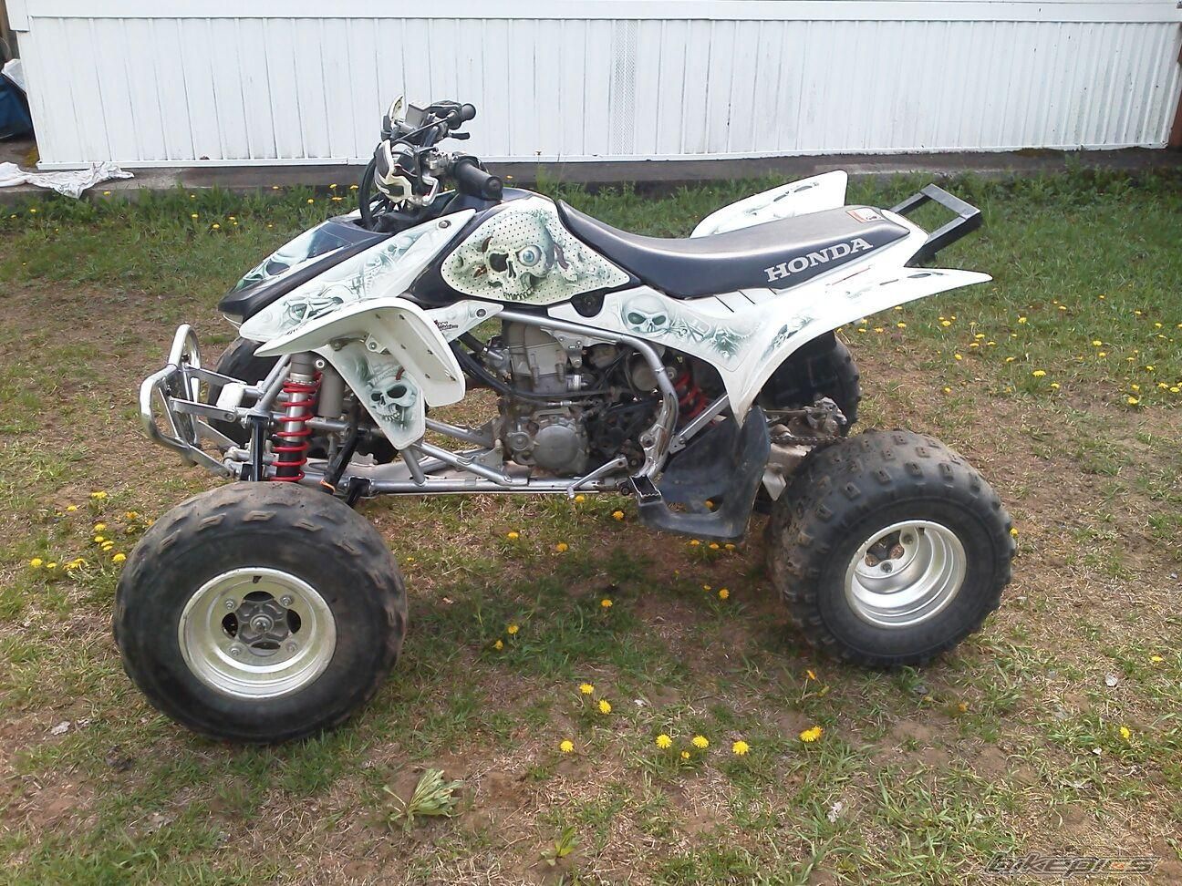Photo 2555749