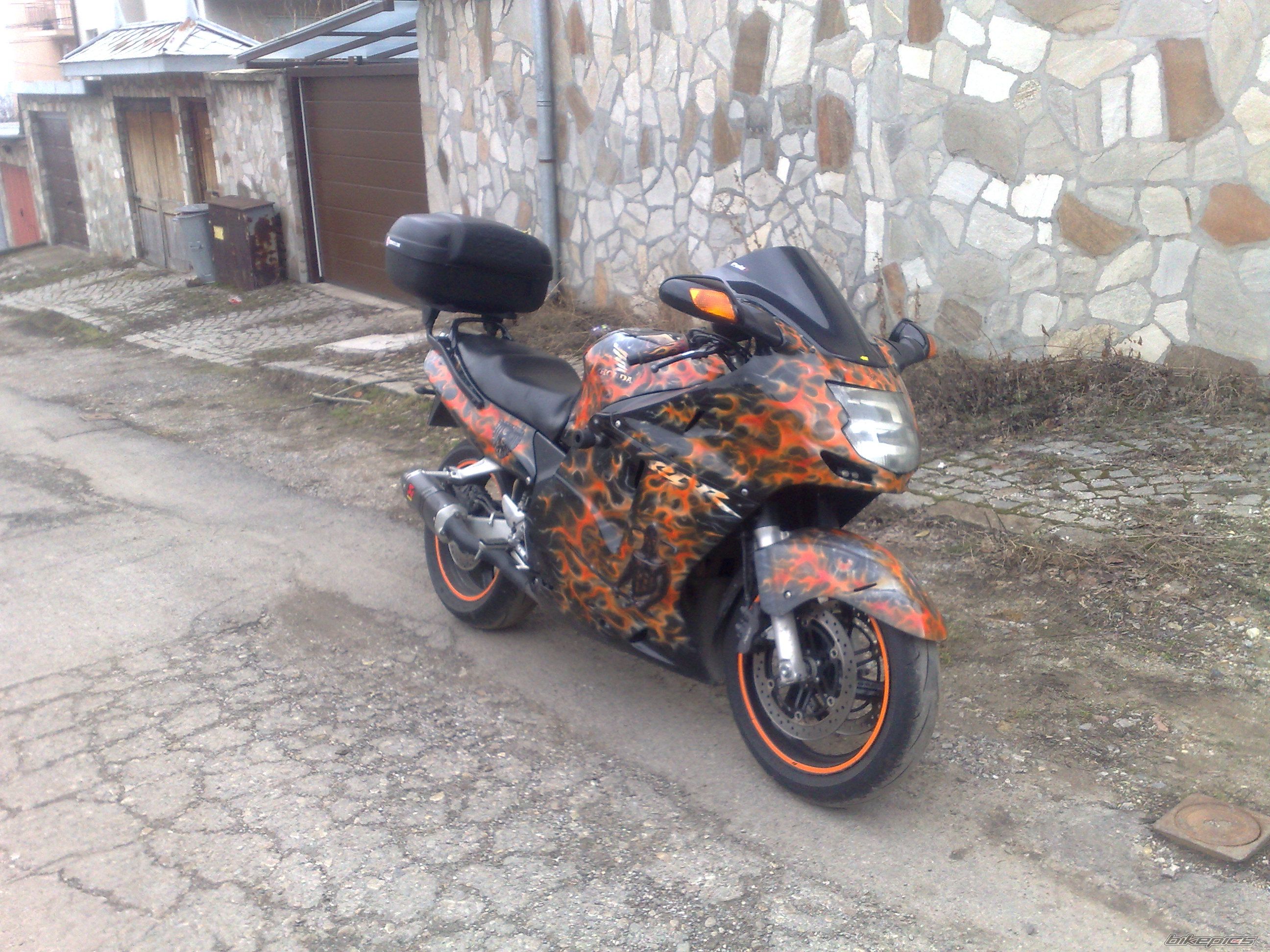 Photo 2555787
