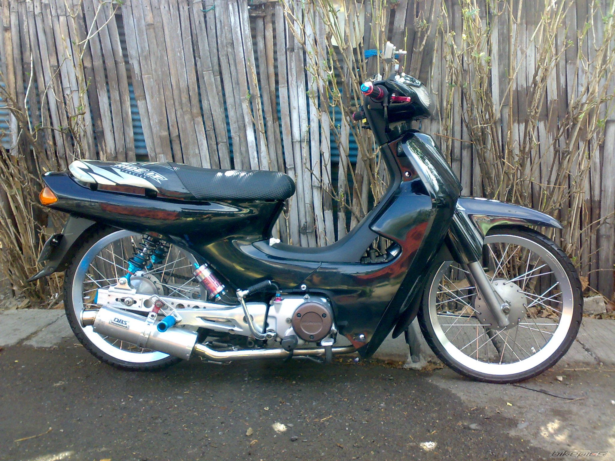 Photo 2555837