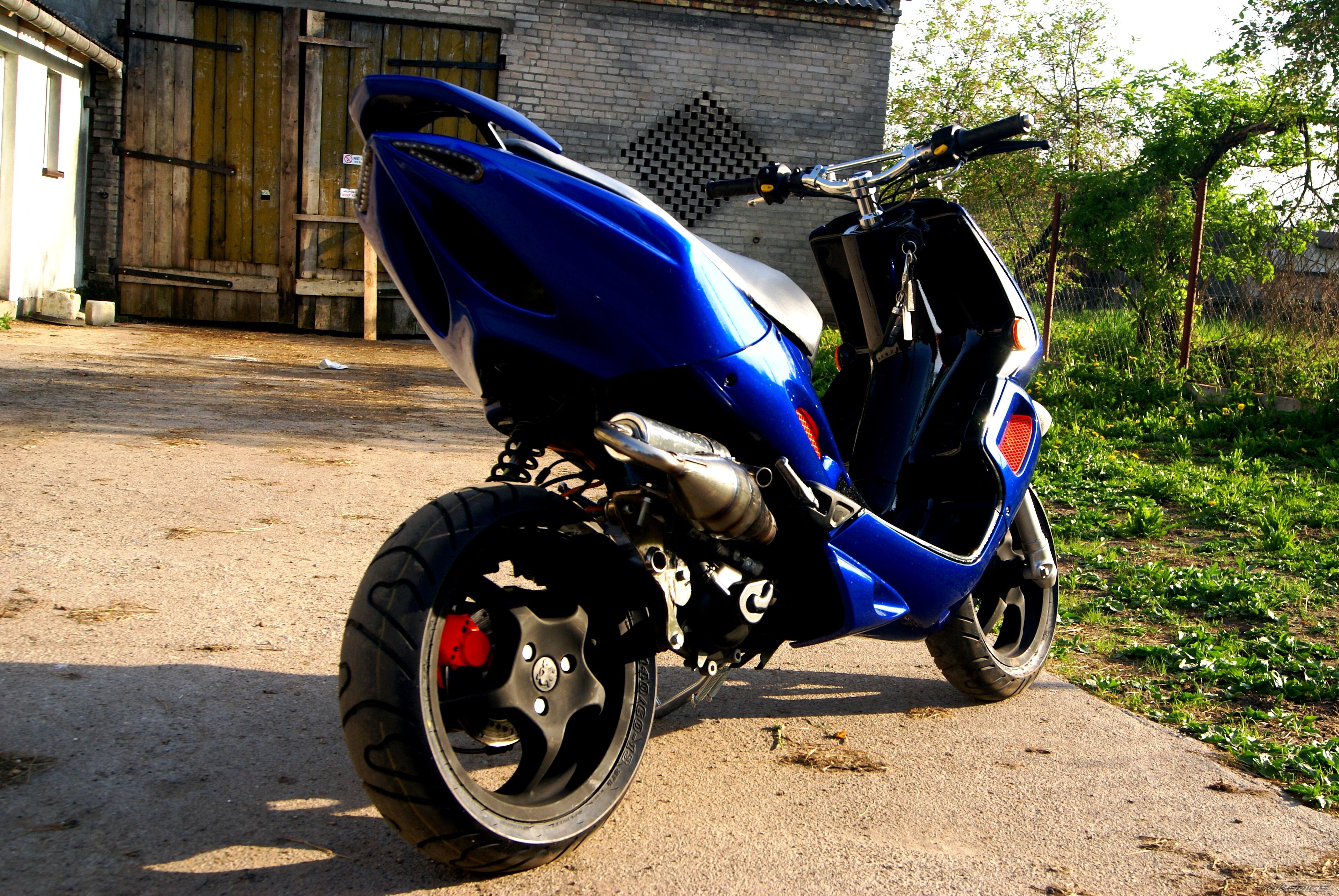Photo 2555838
