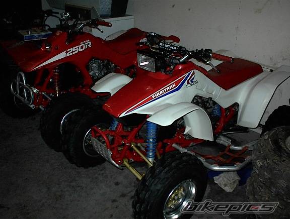 Photo 255584