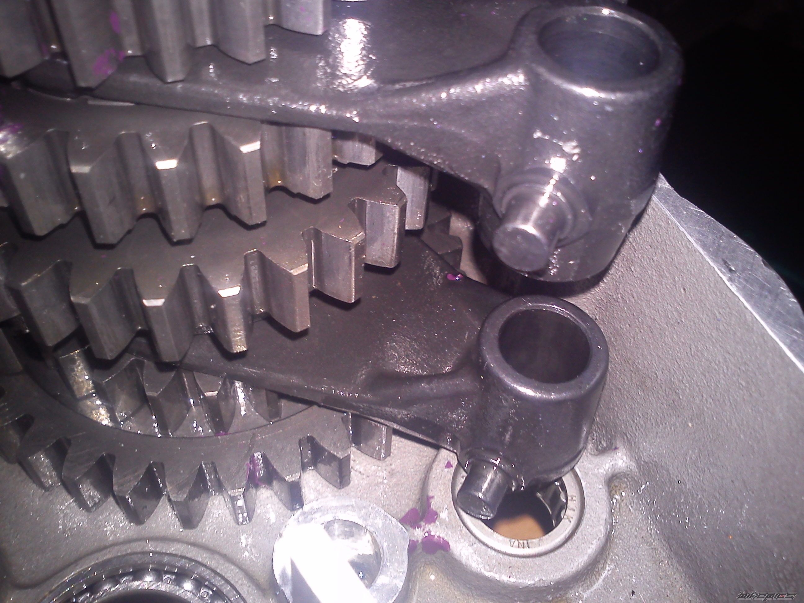 Photo 2555871