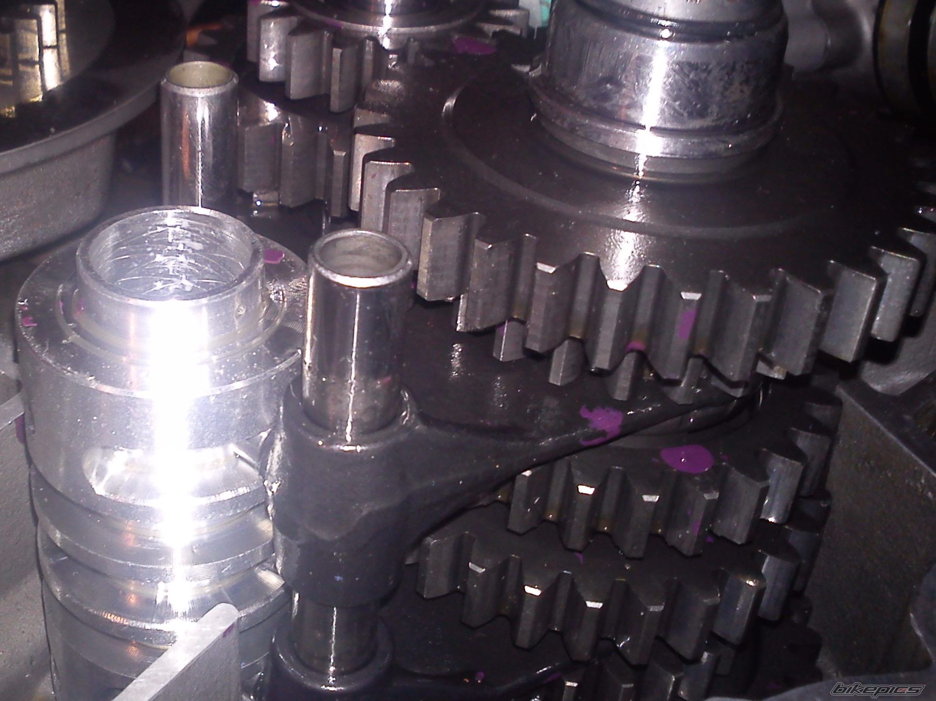 Photo 2555872