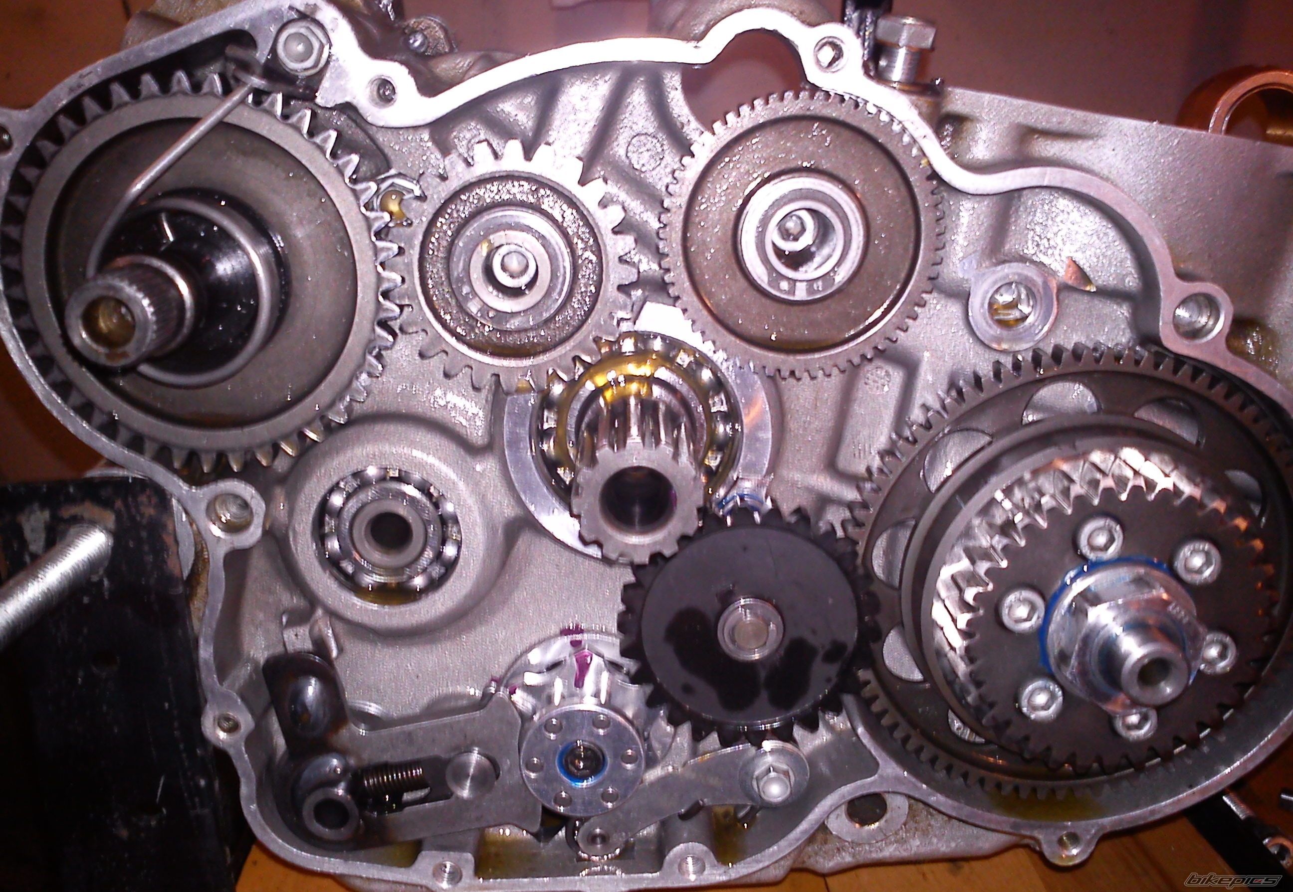 Photo 2555877