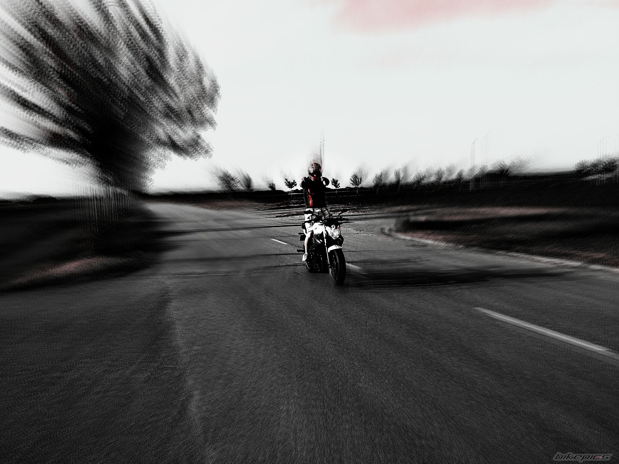 Photo 2556131