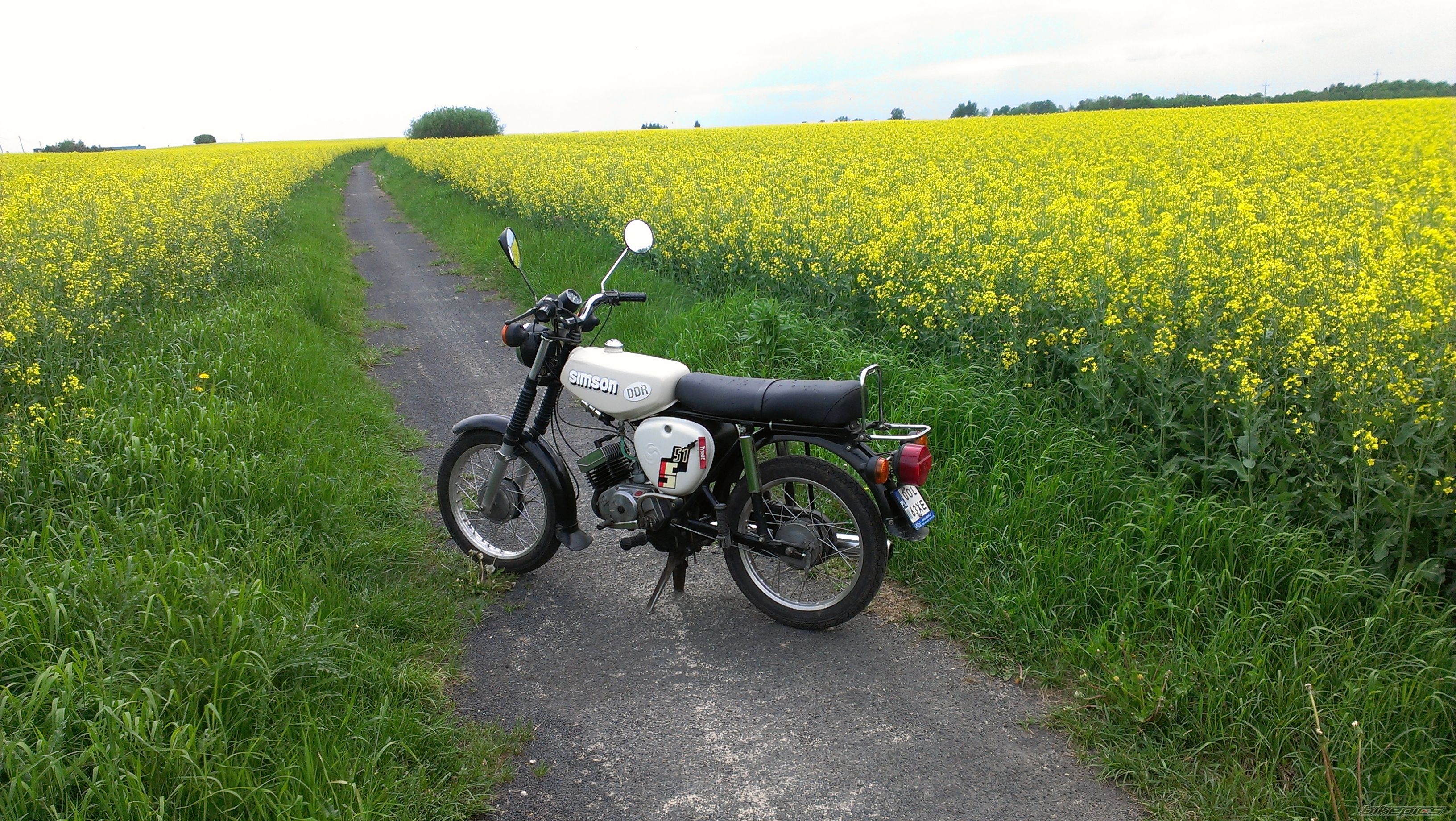 Photo 2556153