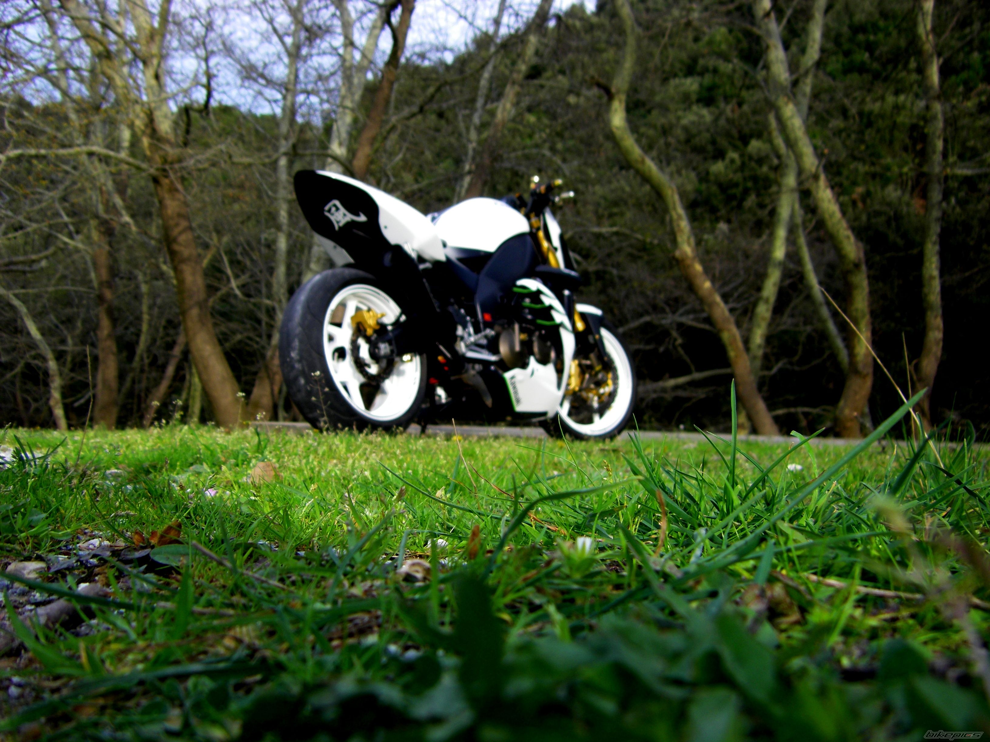 Bike Photo 2556167