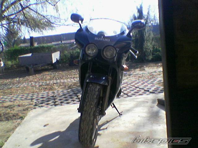 Photo 255622