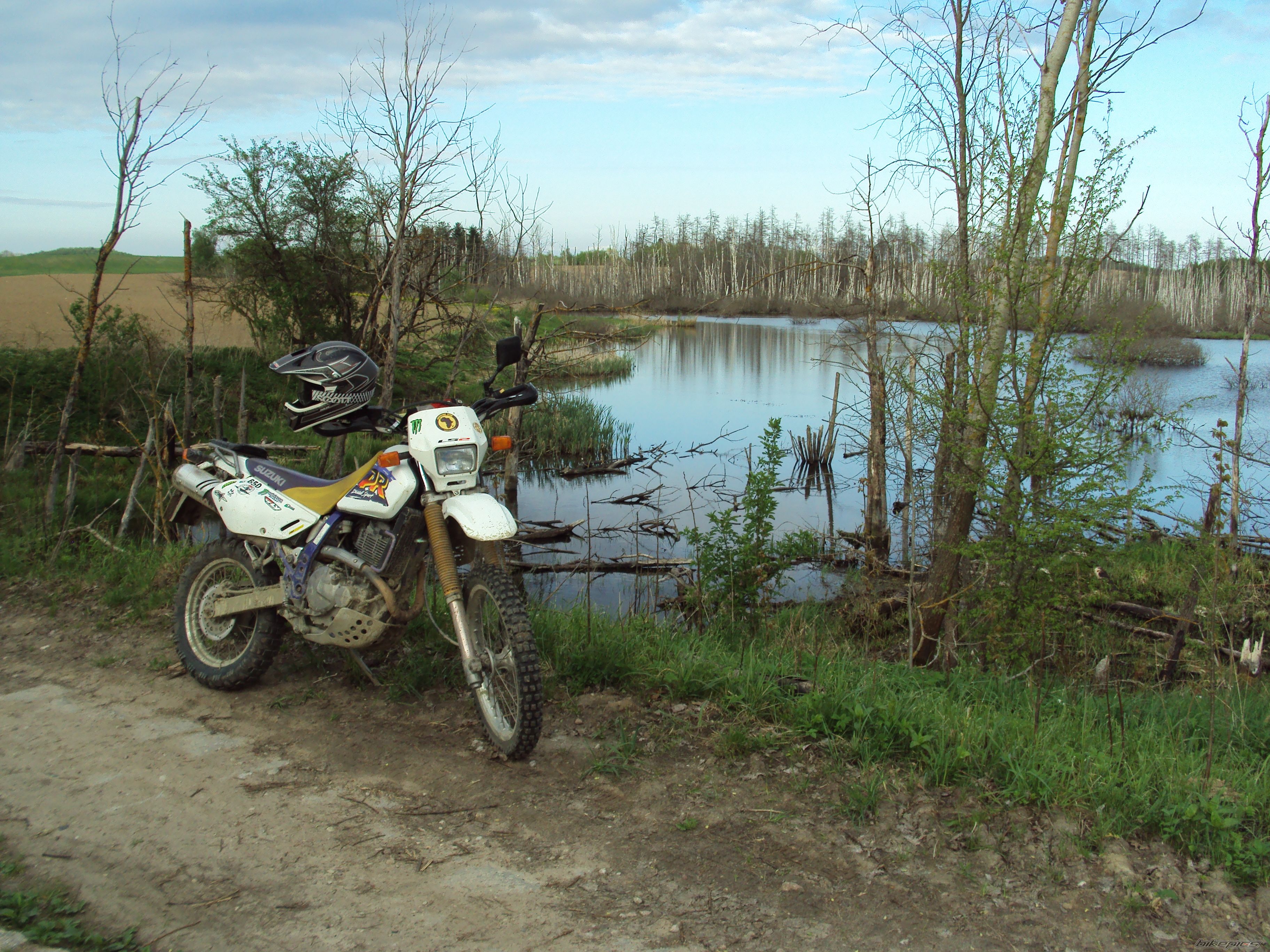 Photo 2556385