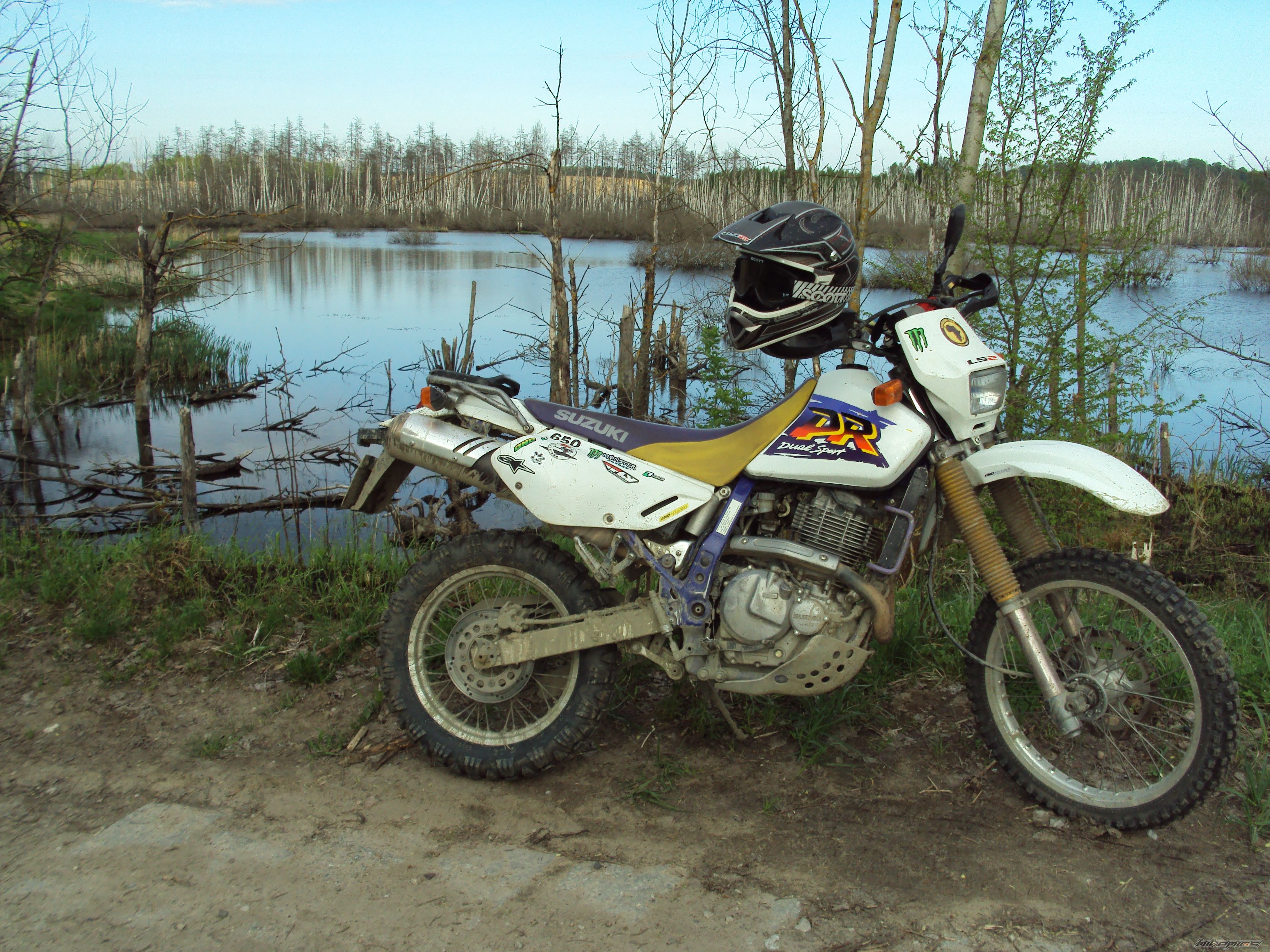 Photo 2556386