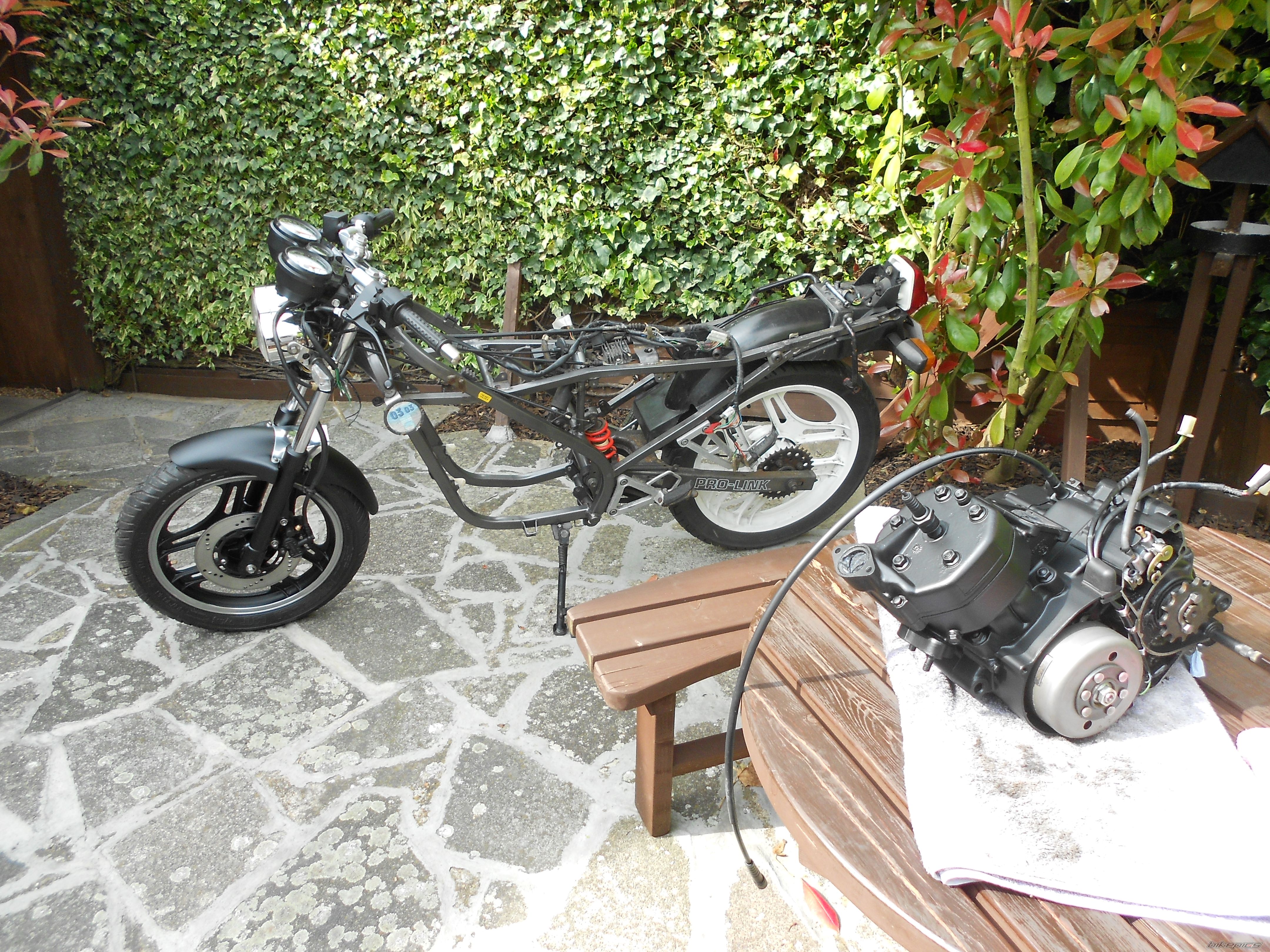 Photo 2556394