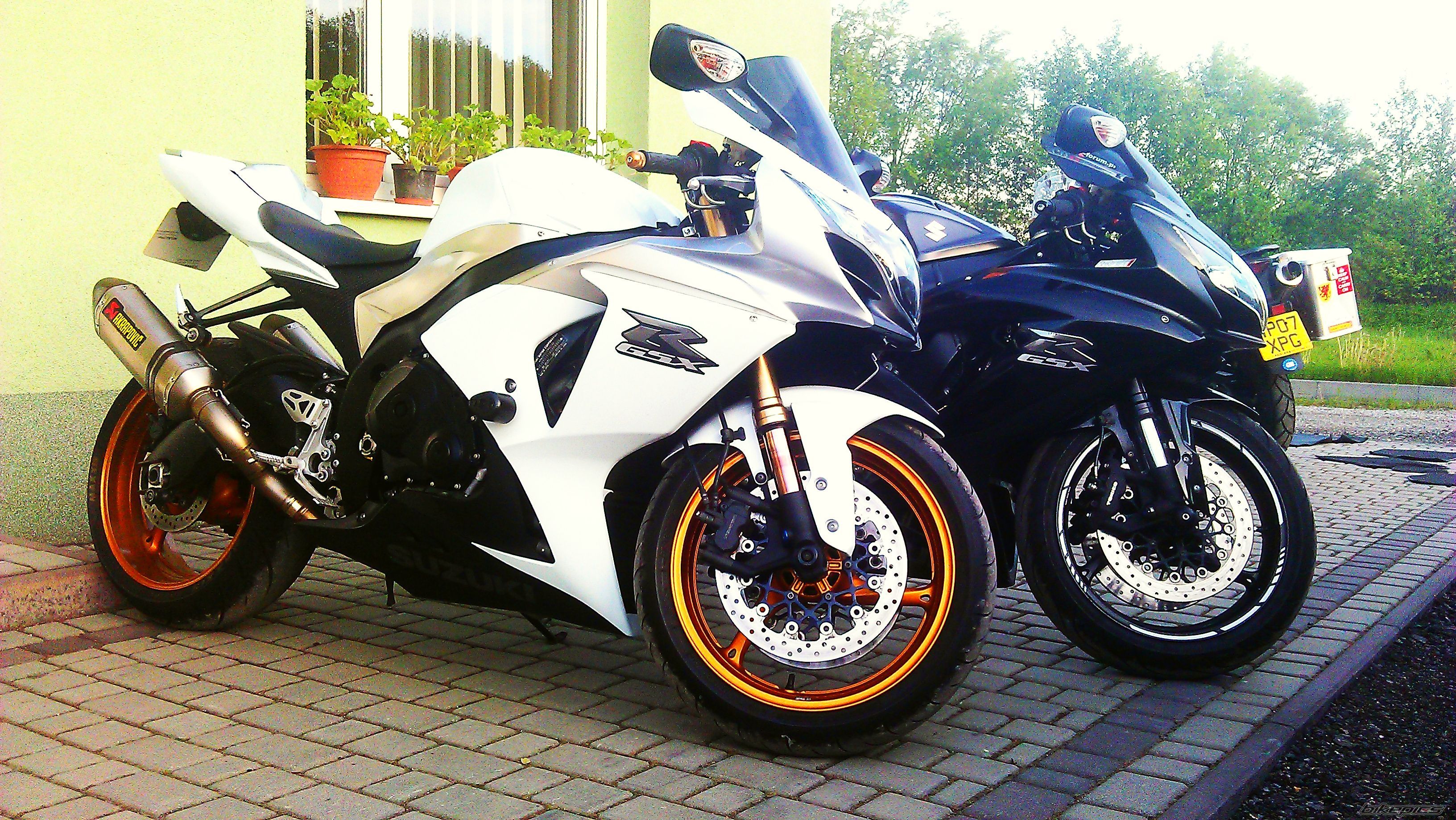 Photo 2556439