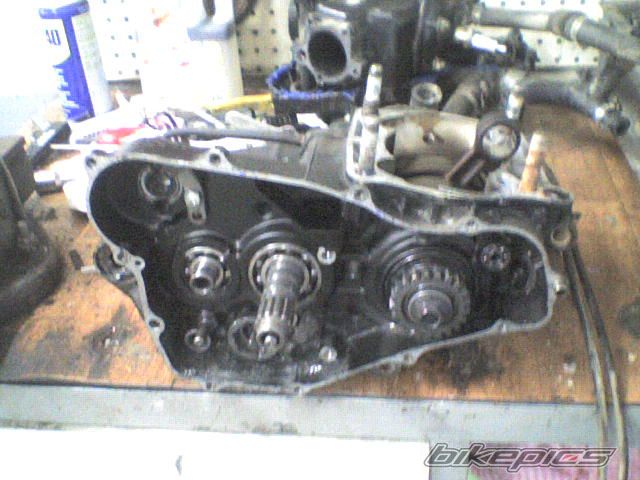 Photo 2556479