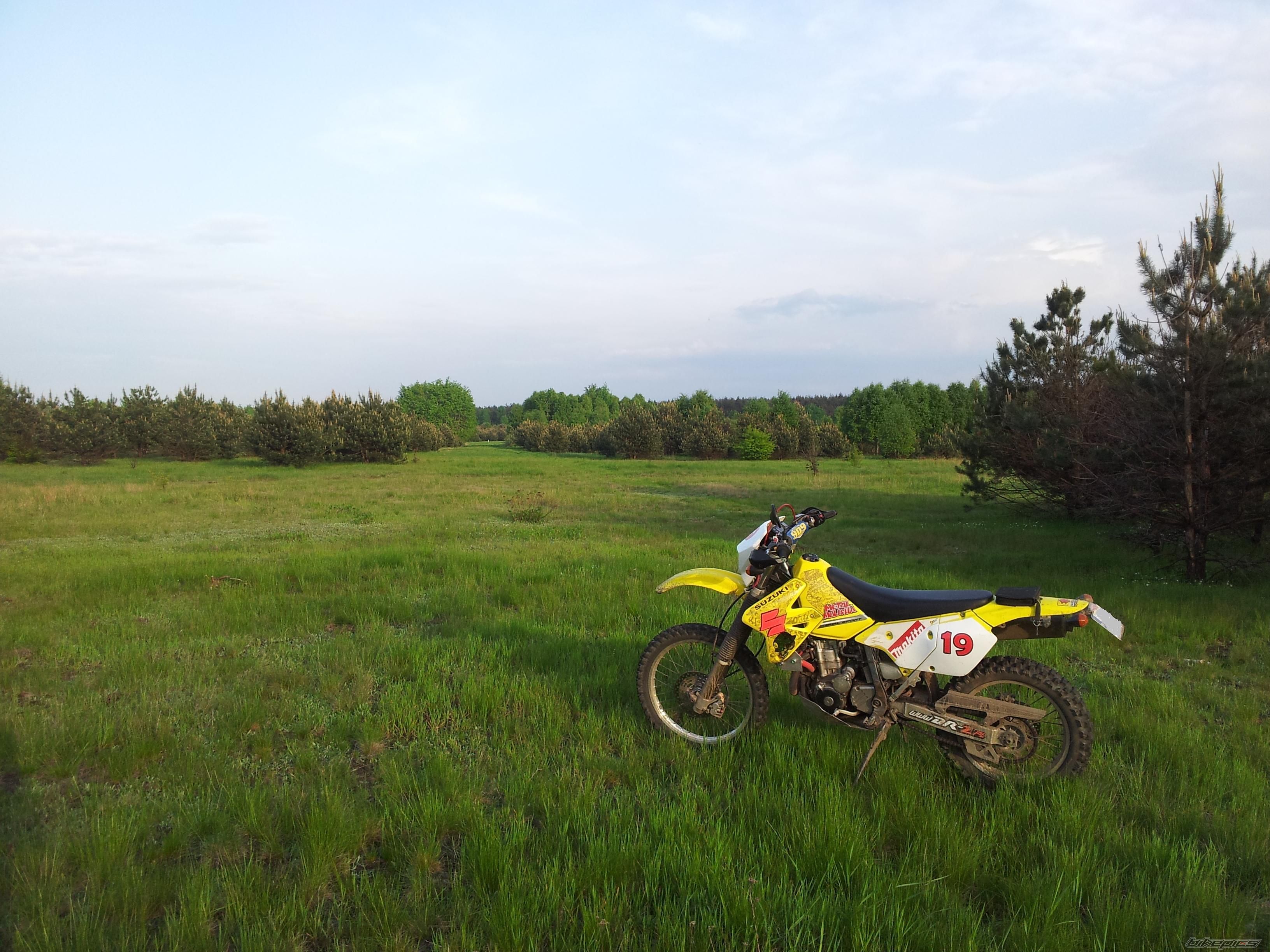 Photo 2556529