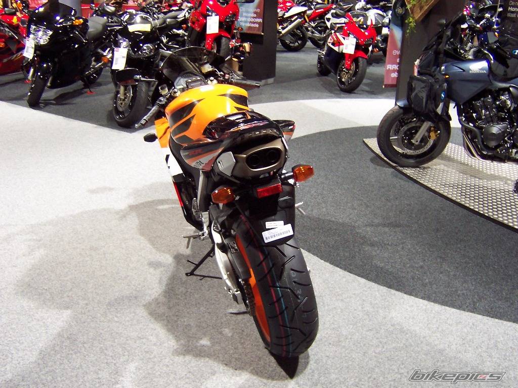 Photo 255657