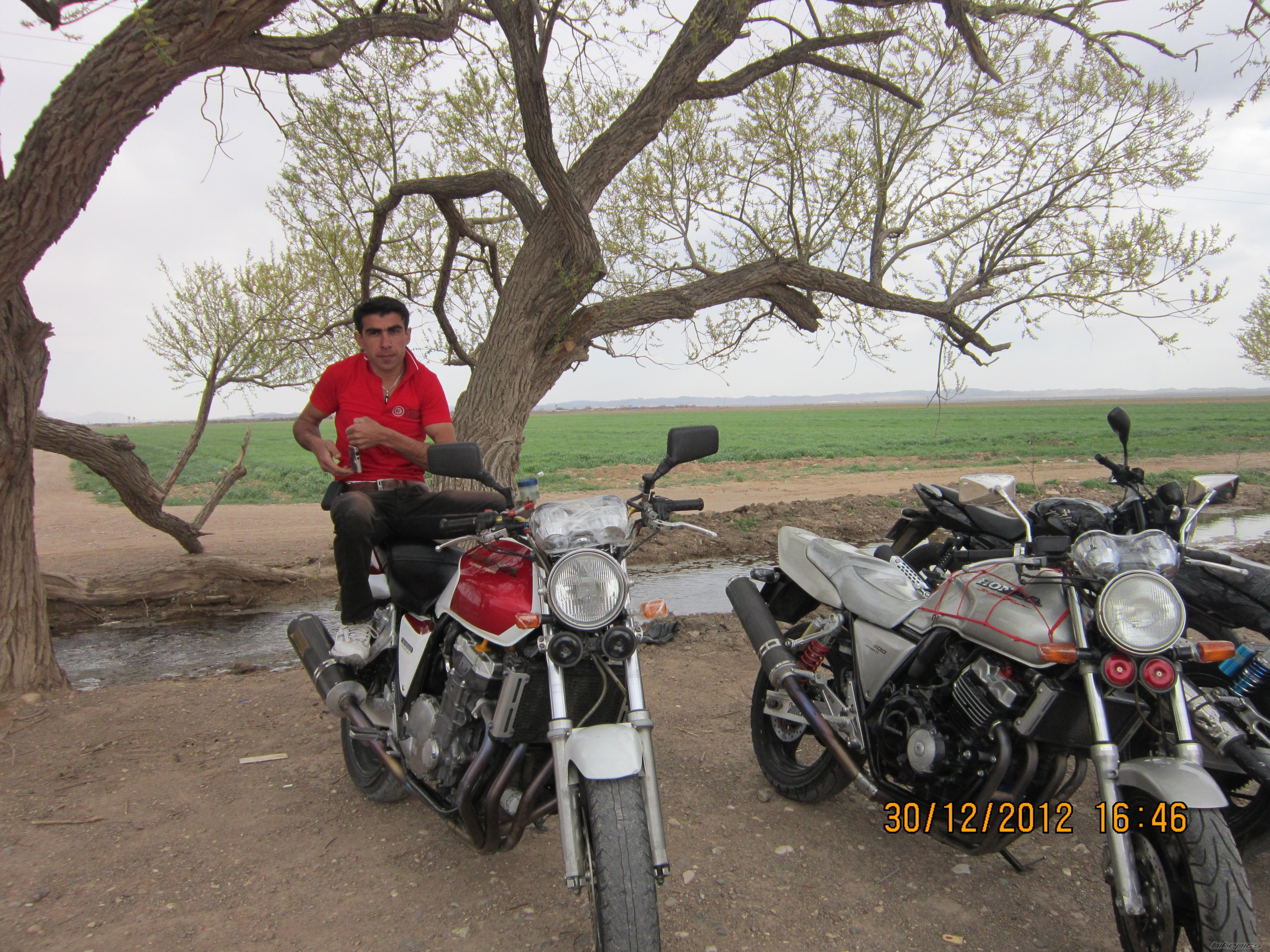 Photo 2556580